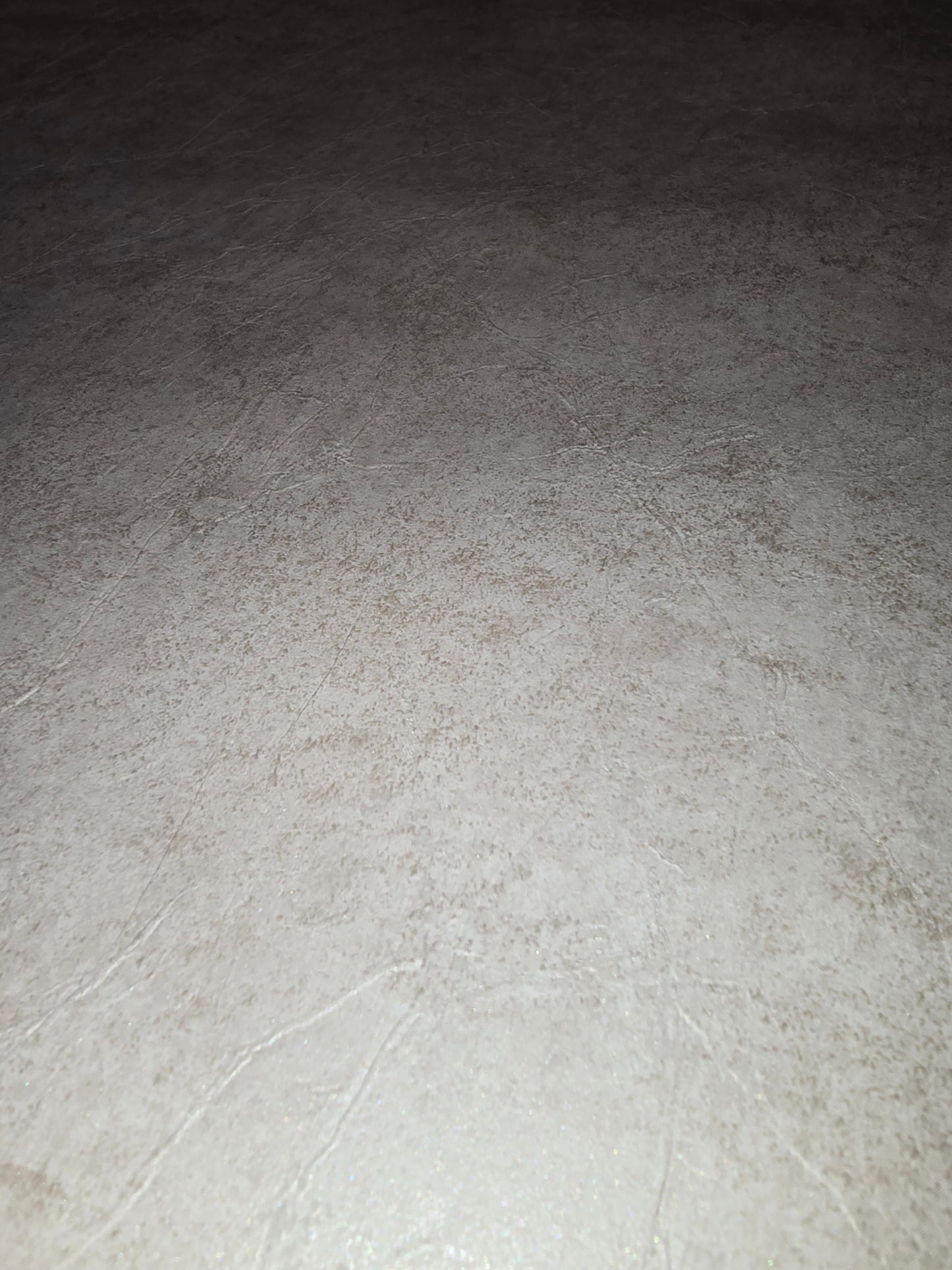 Caselio Stone-Effect Vinyl Wallpaper