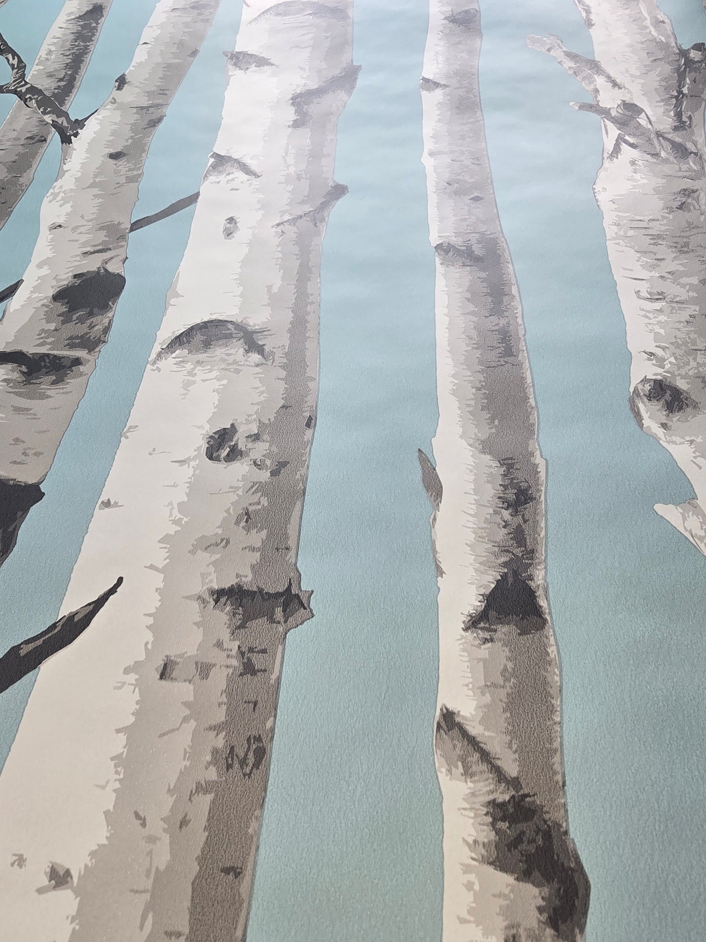 Birch Trees Blue & Grey Forest Feature Wallpaper β FD43293 π³β¨