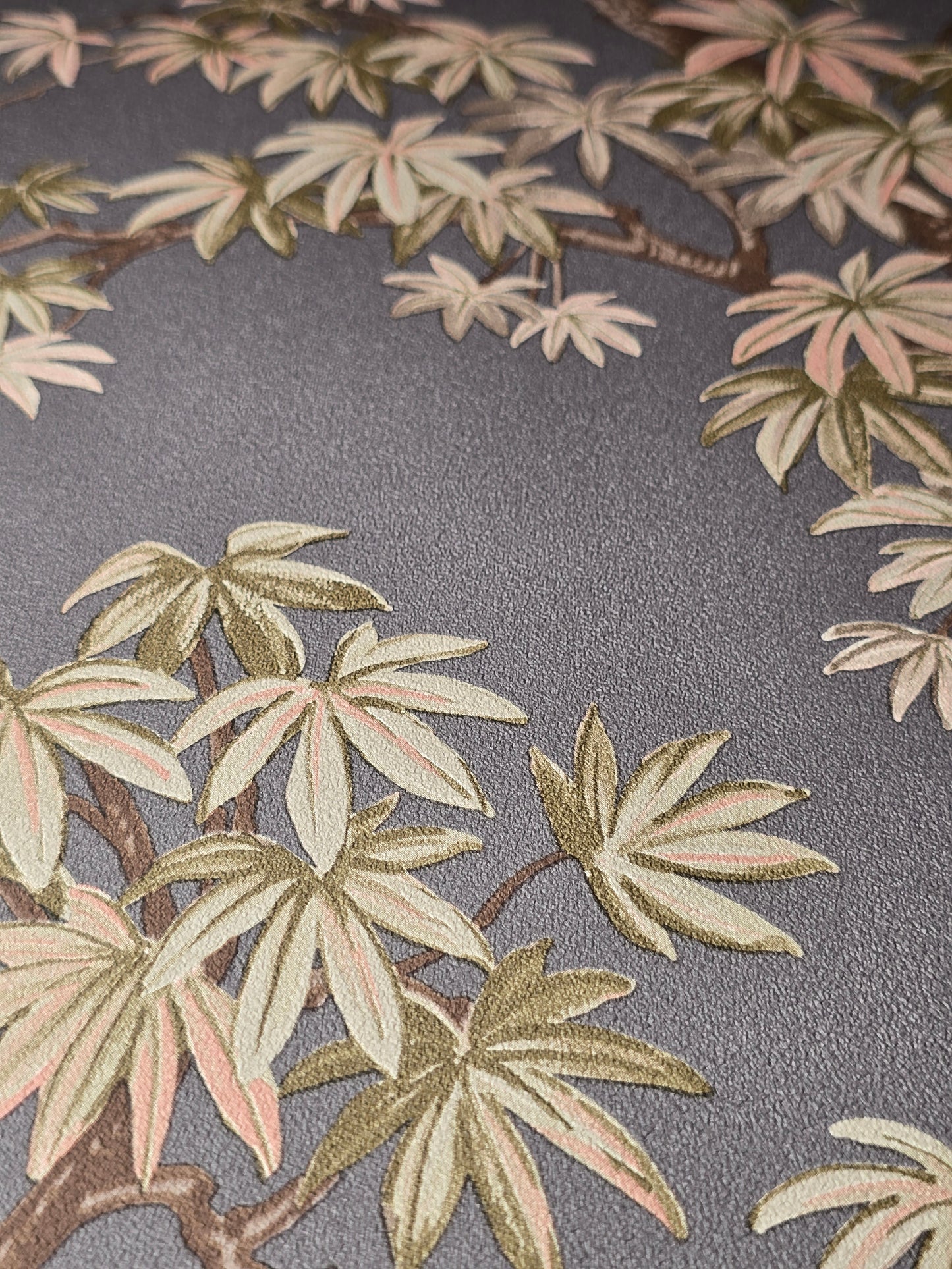 Acer Tree Charcoal Wallpaper – 196801