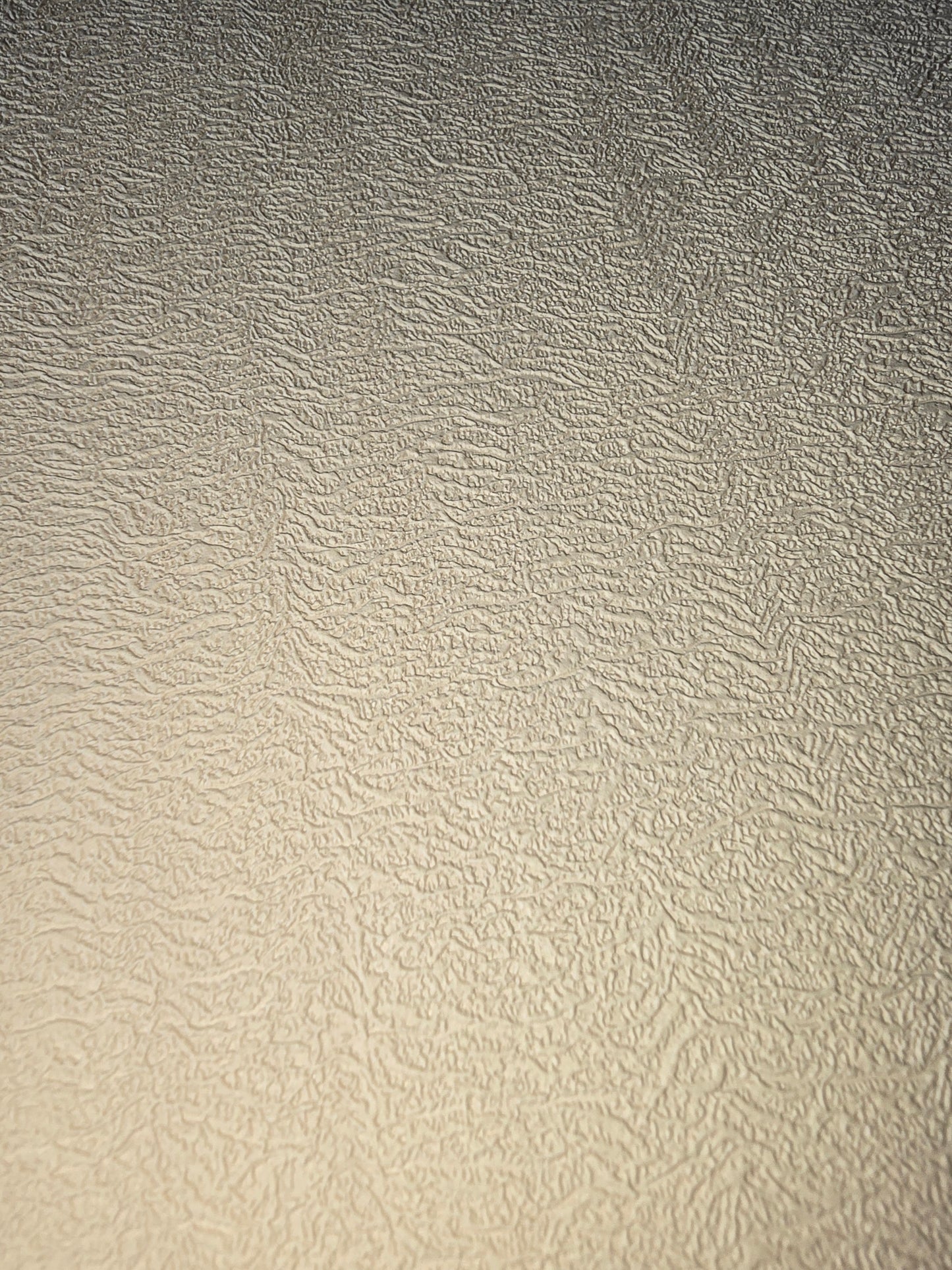 Beige / cream Vinyl Textured Wallpaper