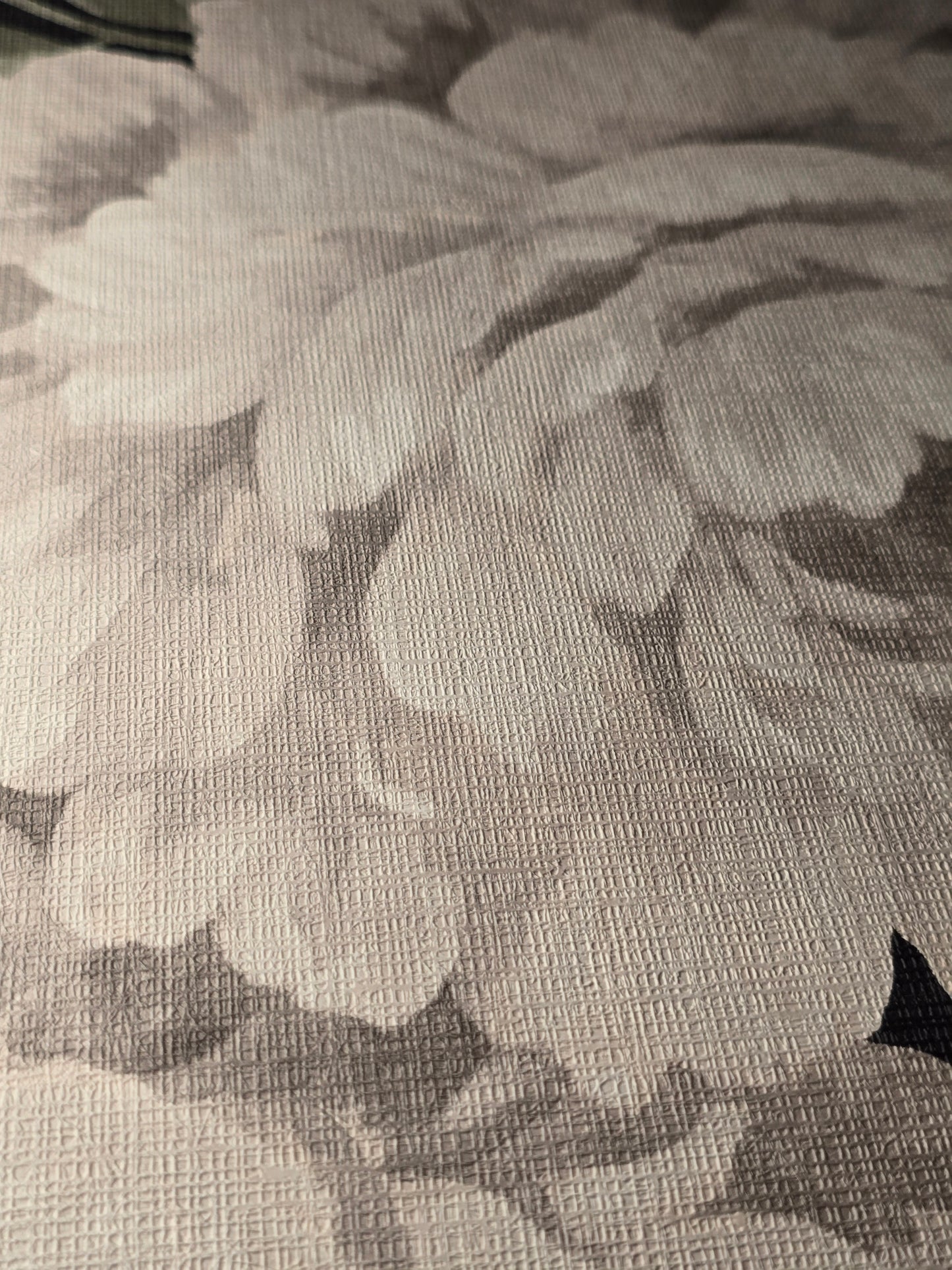 Fayre Floral Cream & Black Wallpaper – 194302