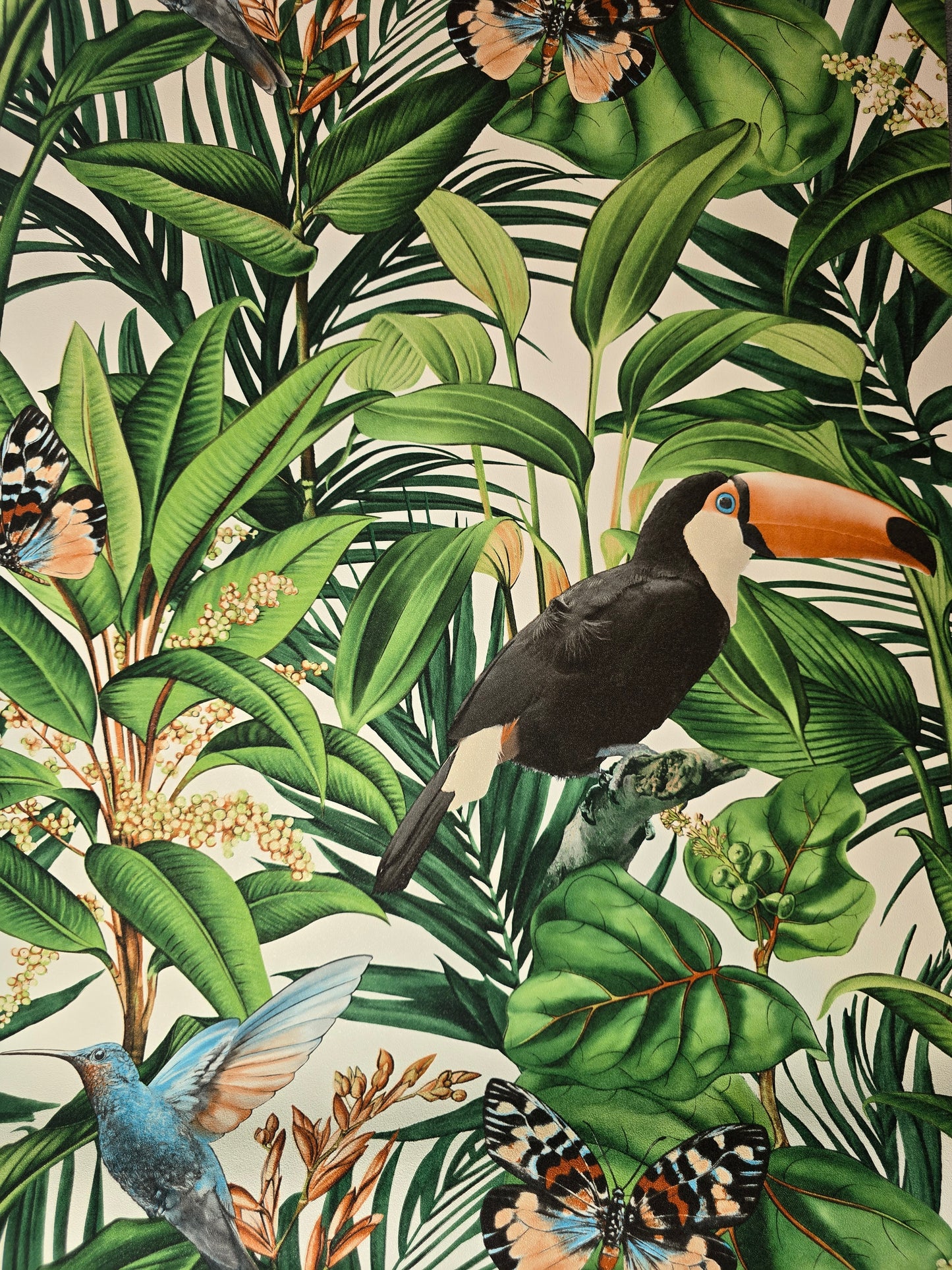 Paradisio 2 Tropical Toucan & Butterfly Wallpaper (10121-07)
