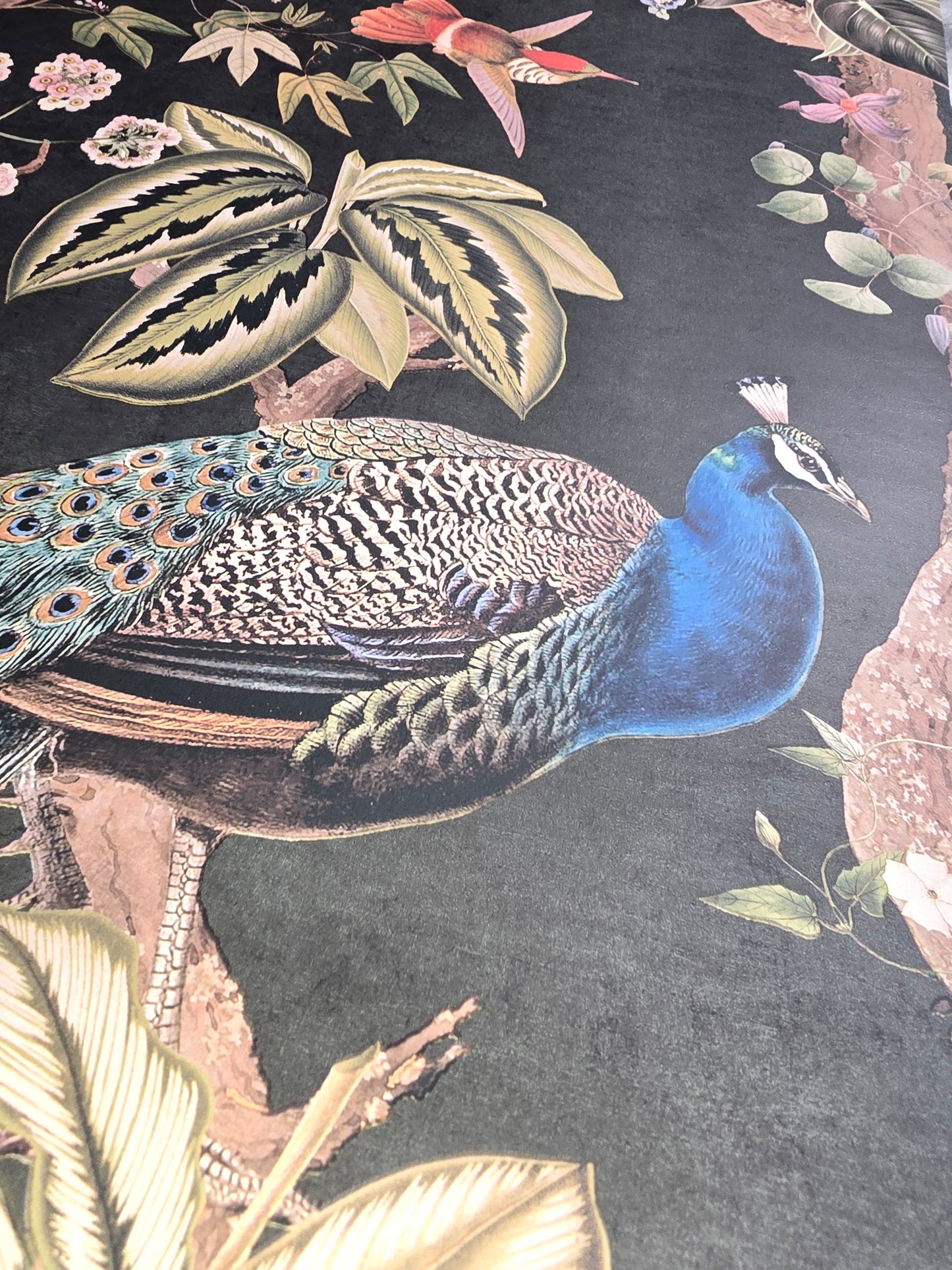 ✨ Feature Wallpaper – Peacock Woods (Charcoal) ✨