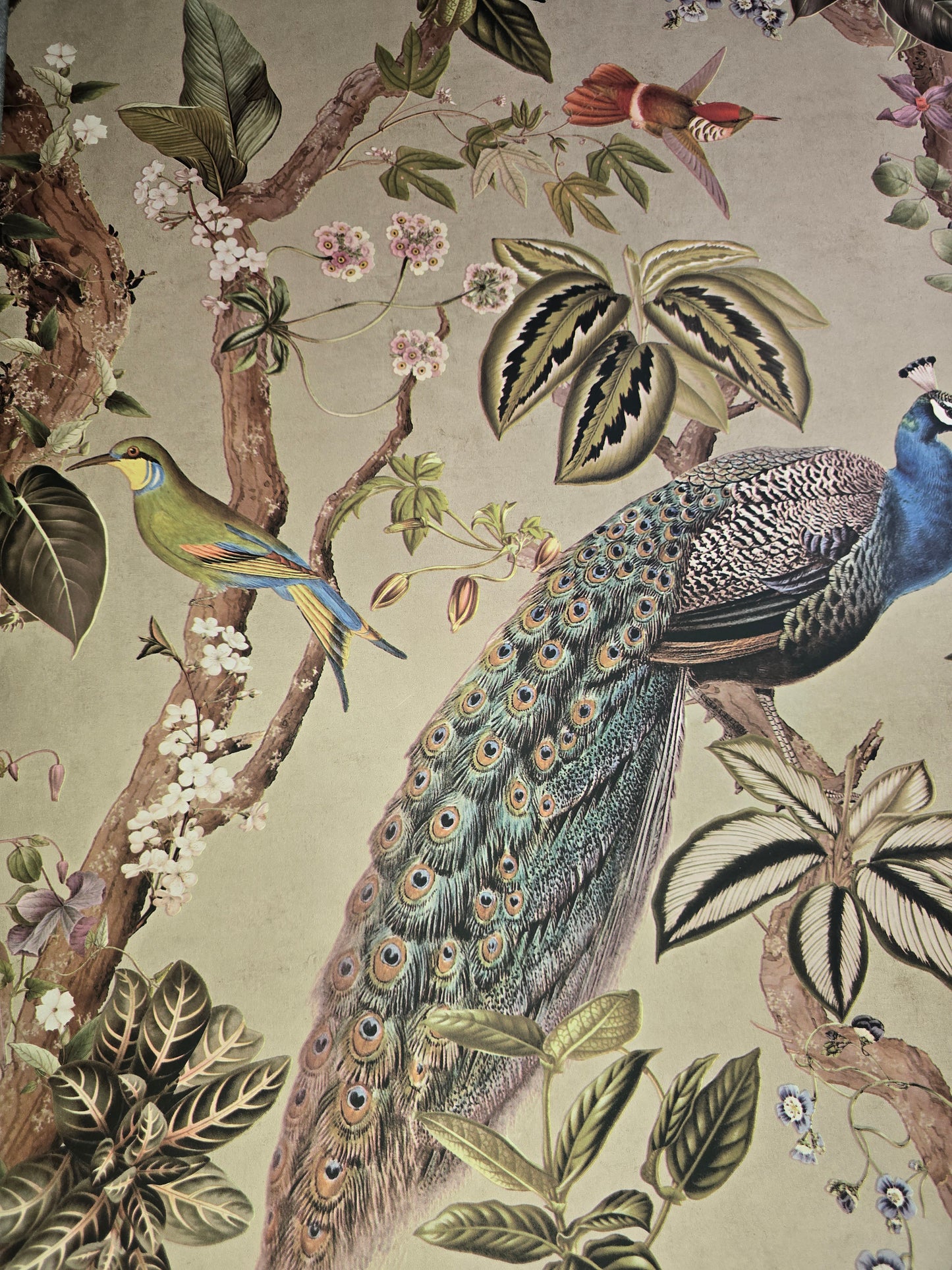 ✨  Feature Wallpaper – Peacock Woods (Taupe) ✨