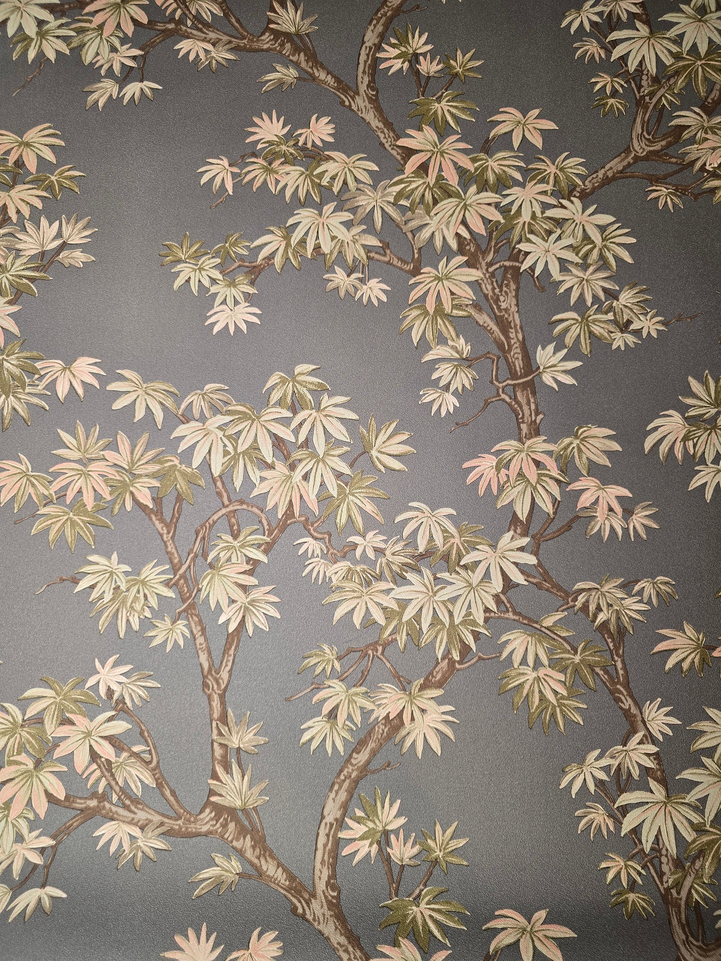 Acer Tree Charcoal Wallpaper – 196801