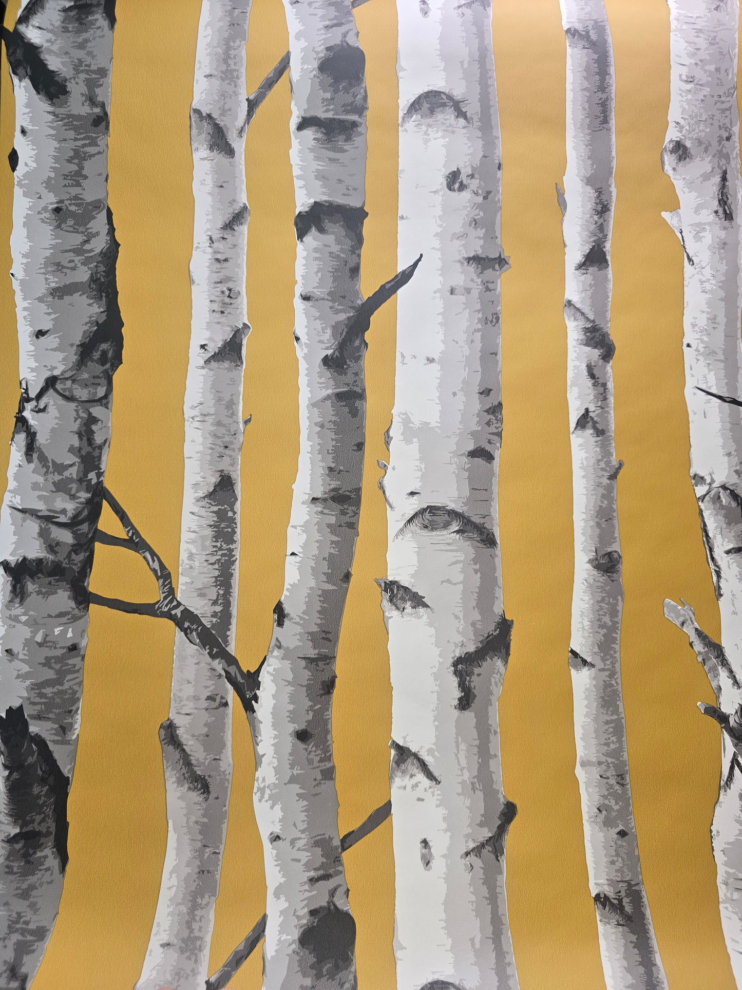 Birch Trees Mustard & Grey Forest Feature Wallpaper β FD43290