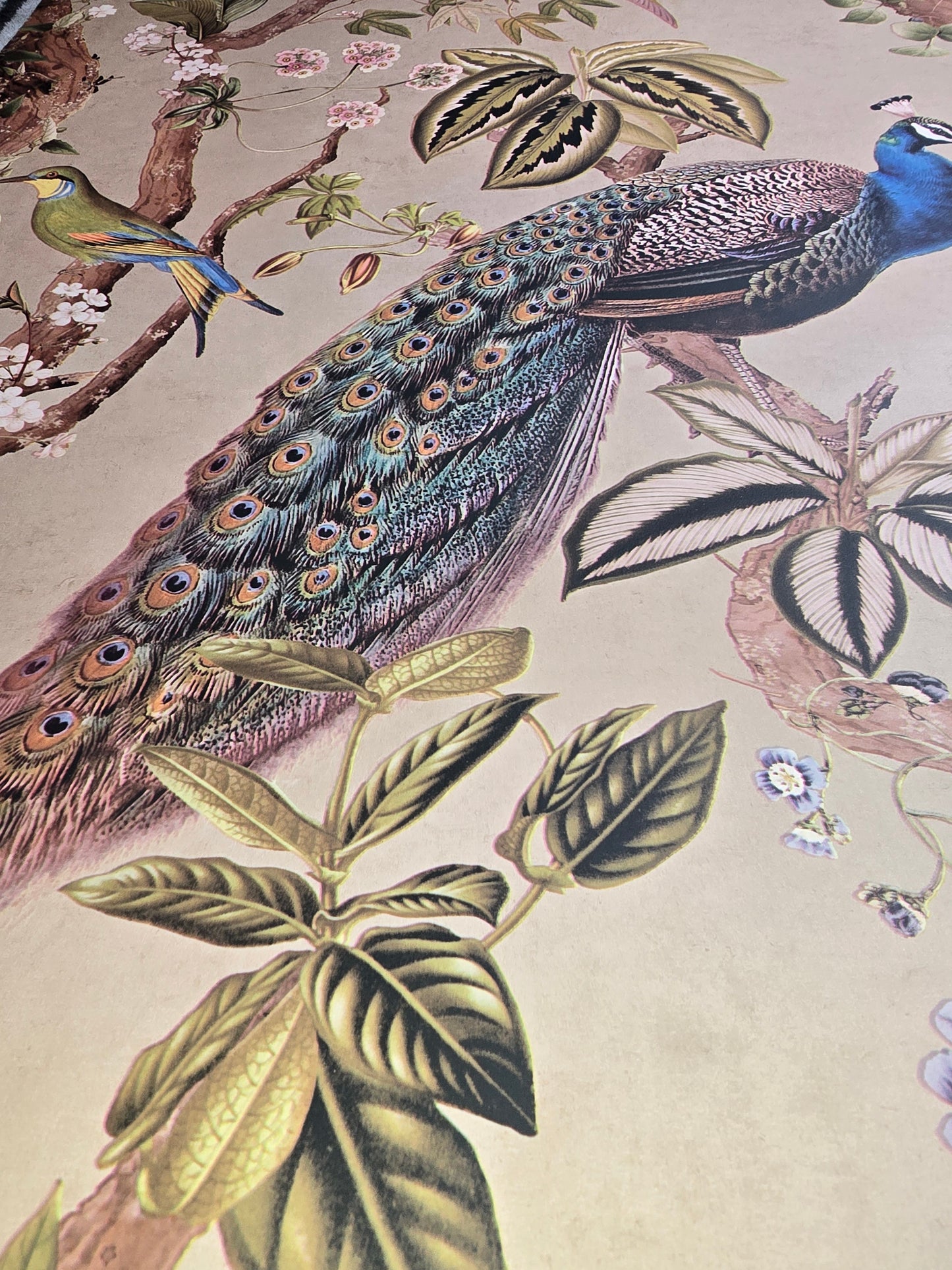 ✨  Feature Wallpaper – Peacock Woods (Taupe) ✨