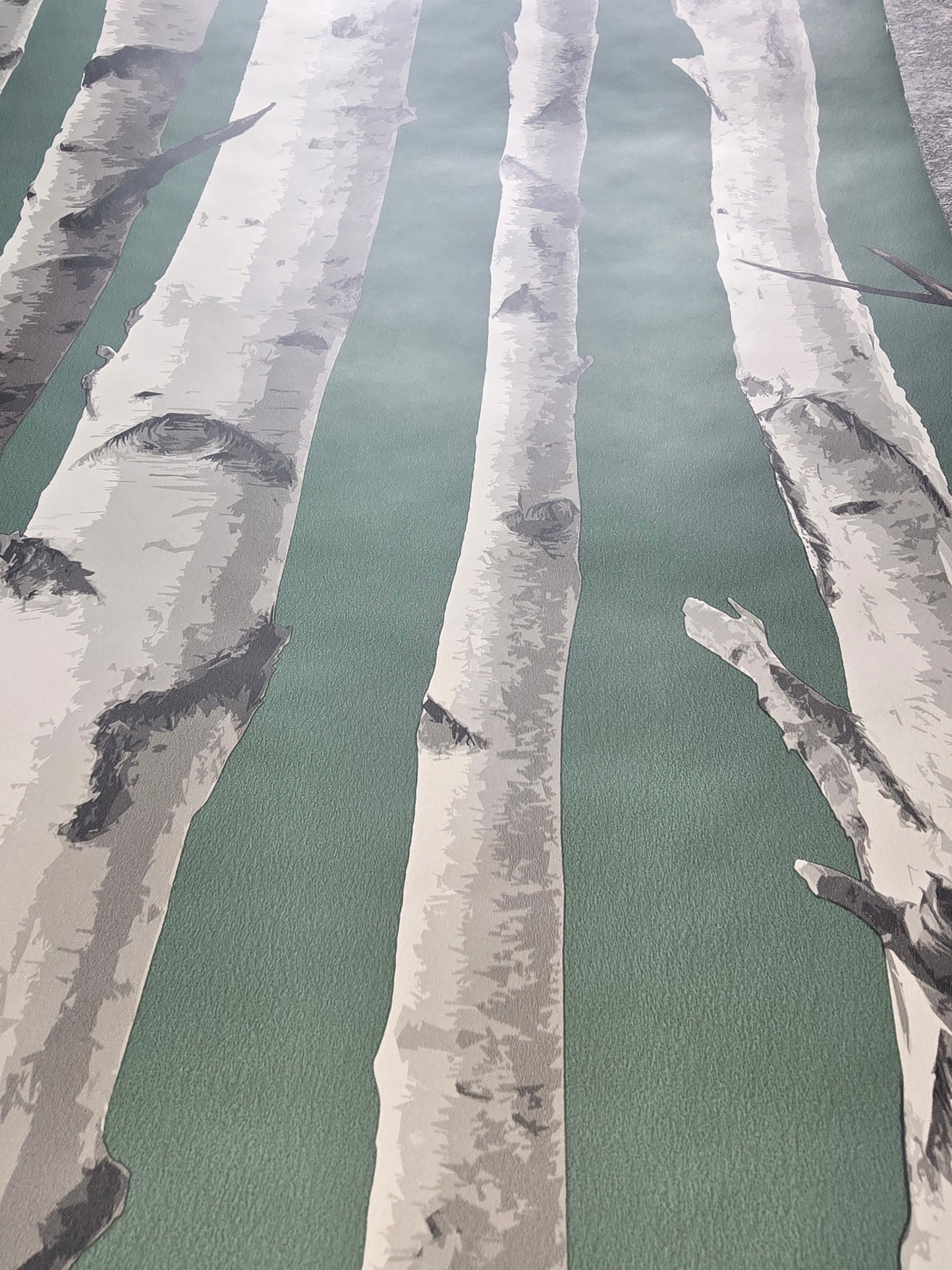 Birch Trees Green & Grey Wallpaper (Pattern FD43292