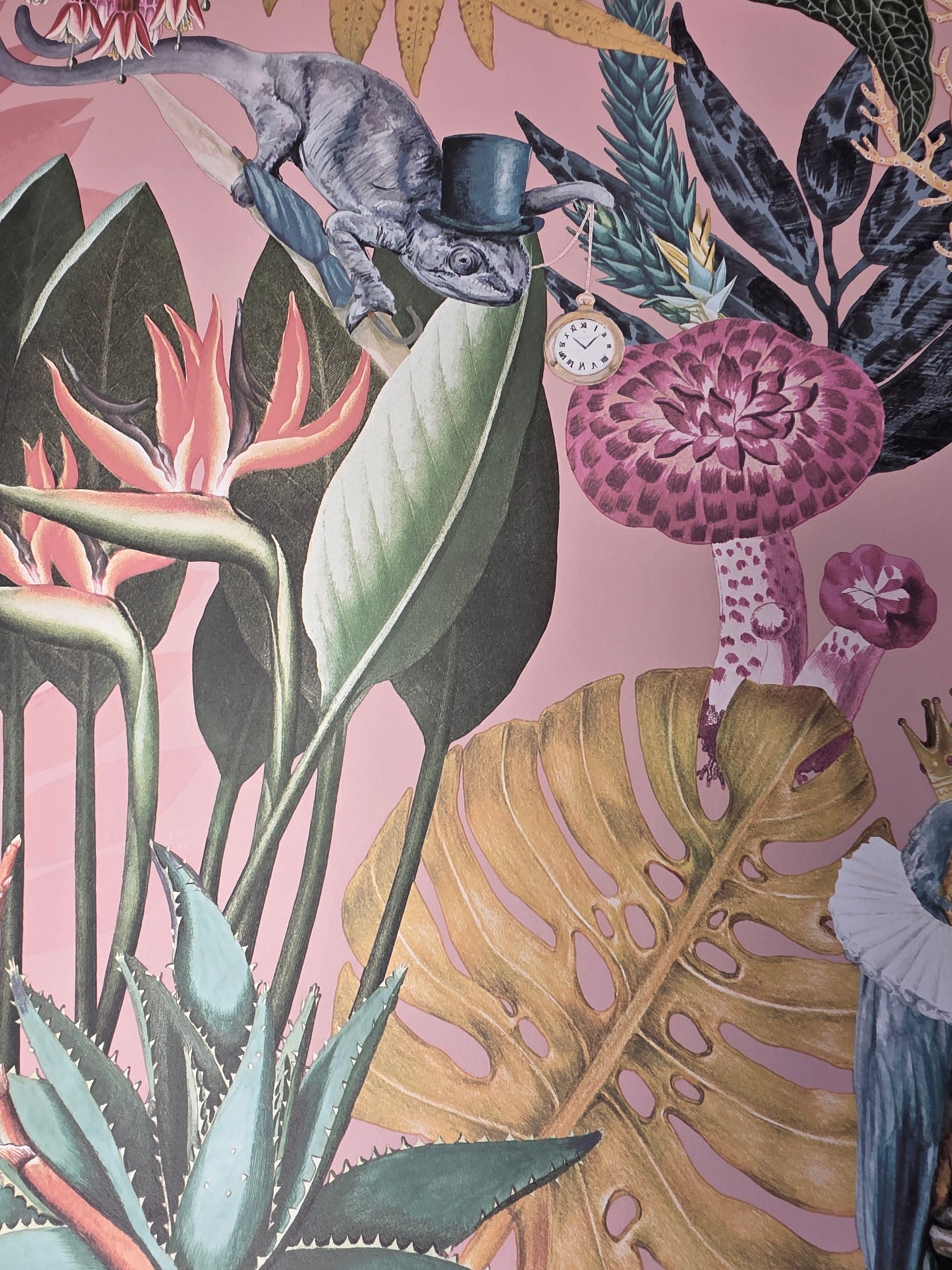 Statement Wonderland Blush Tropical Animals Botanical Feature Wallpaper Pink Jungle (13400)