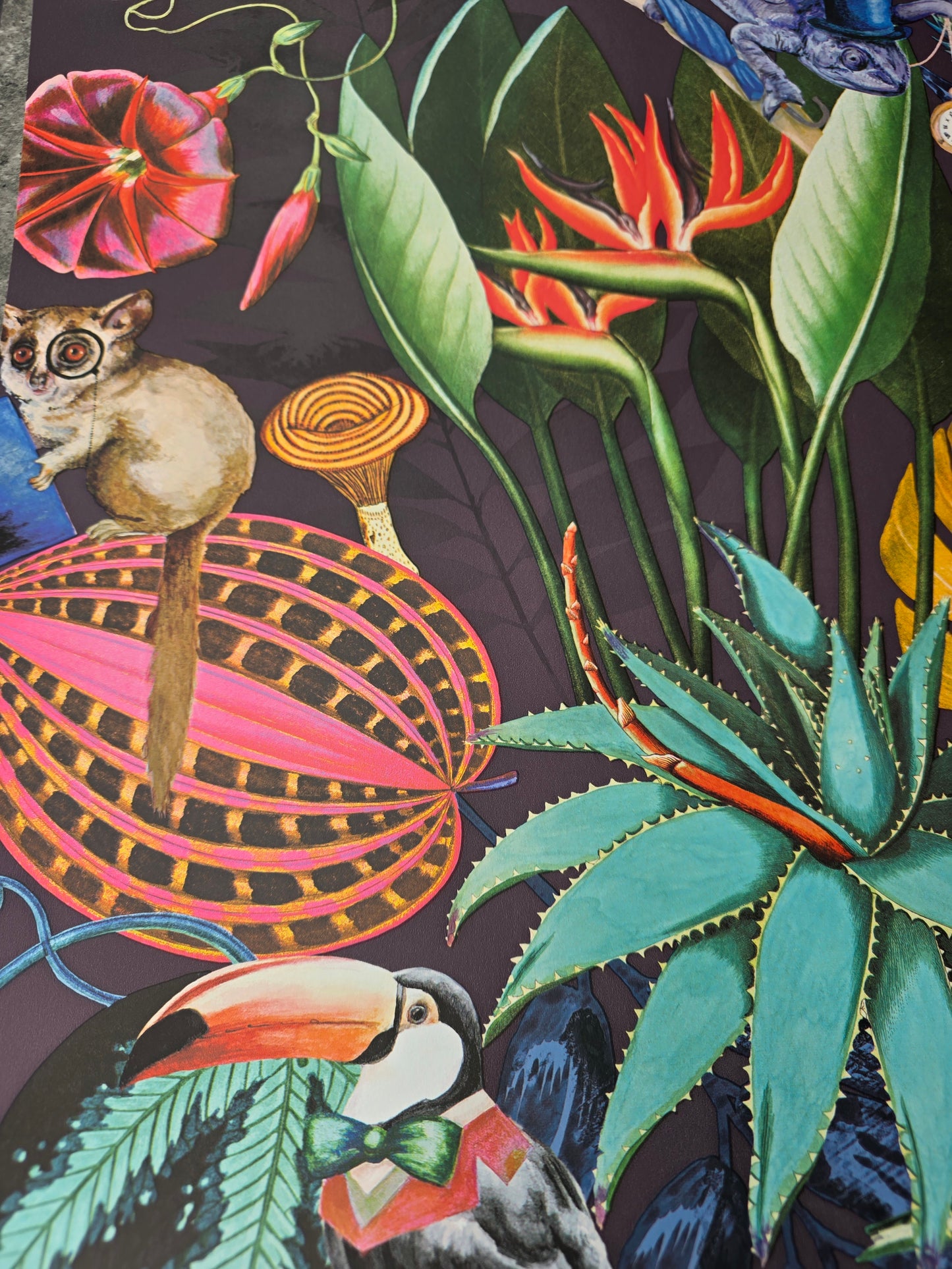 Wonderland Tropical Animal Wallpaper β Exotic Jungle Birds & Botanical Feature Wall (91192)