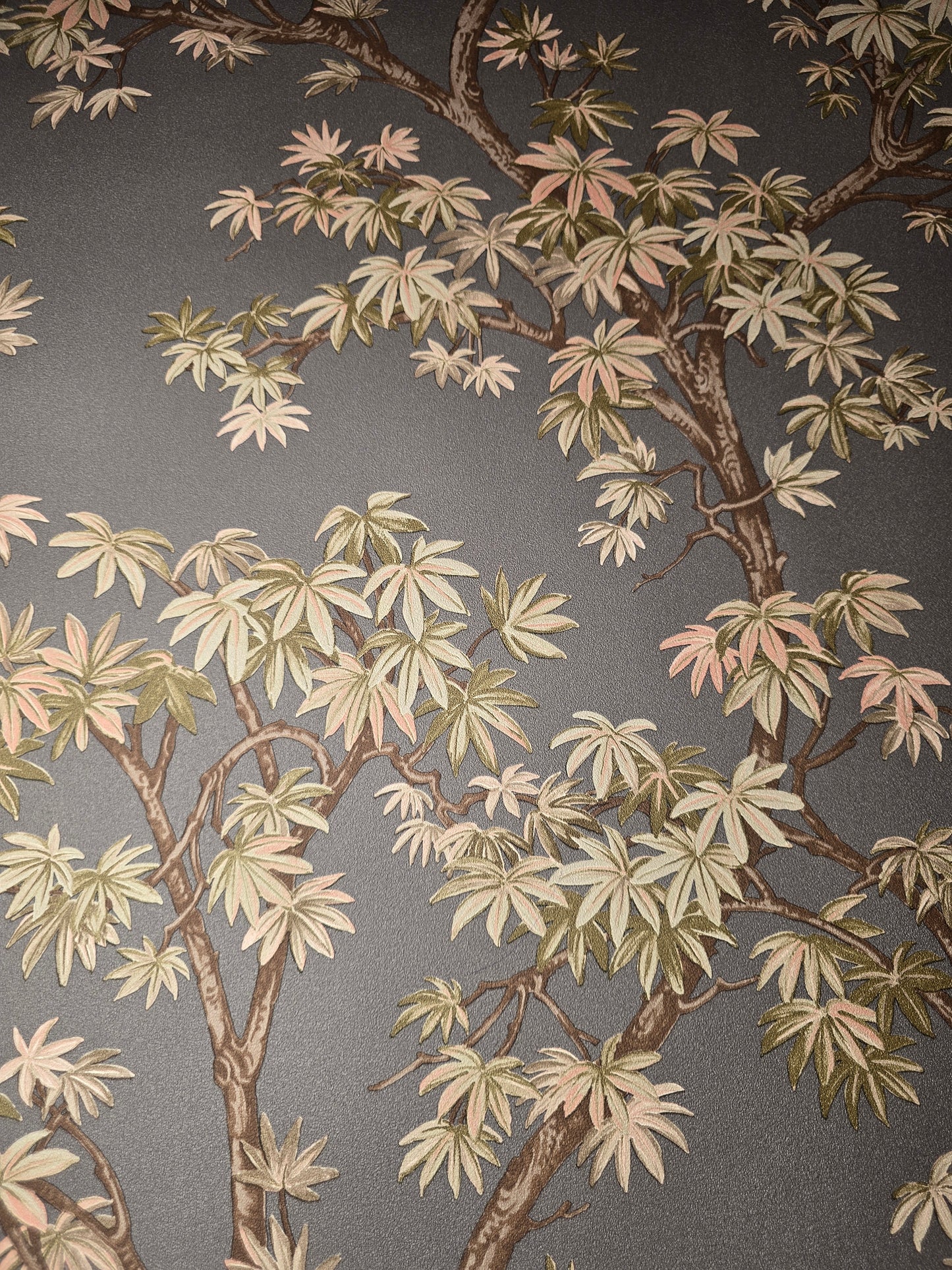 Acer Tree Charcoal Wallpaper – 196801
