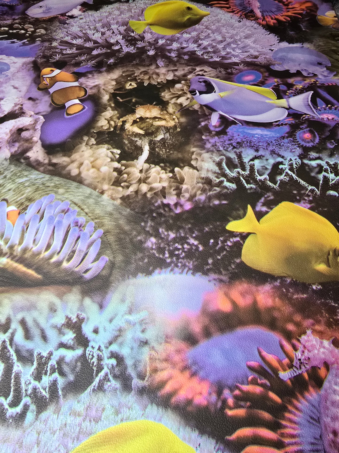 Underwater Coral Reef Fish Wallpaper – Colourful Ocean Design (GV24270)