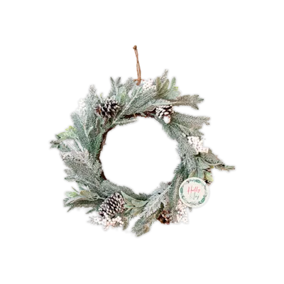 Frosted Christmas Wreath ā 55 cm