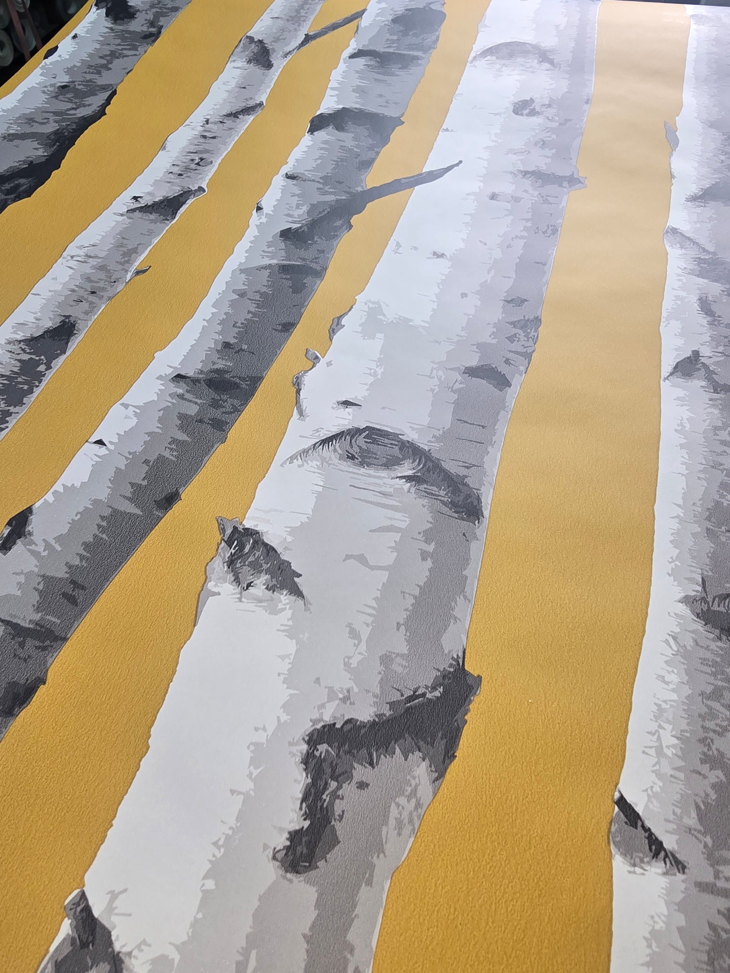 Birch Trees Mustard & Grey Forest Feature Wallpaper β FD43290