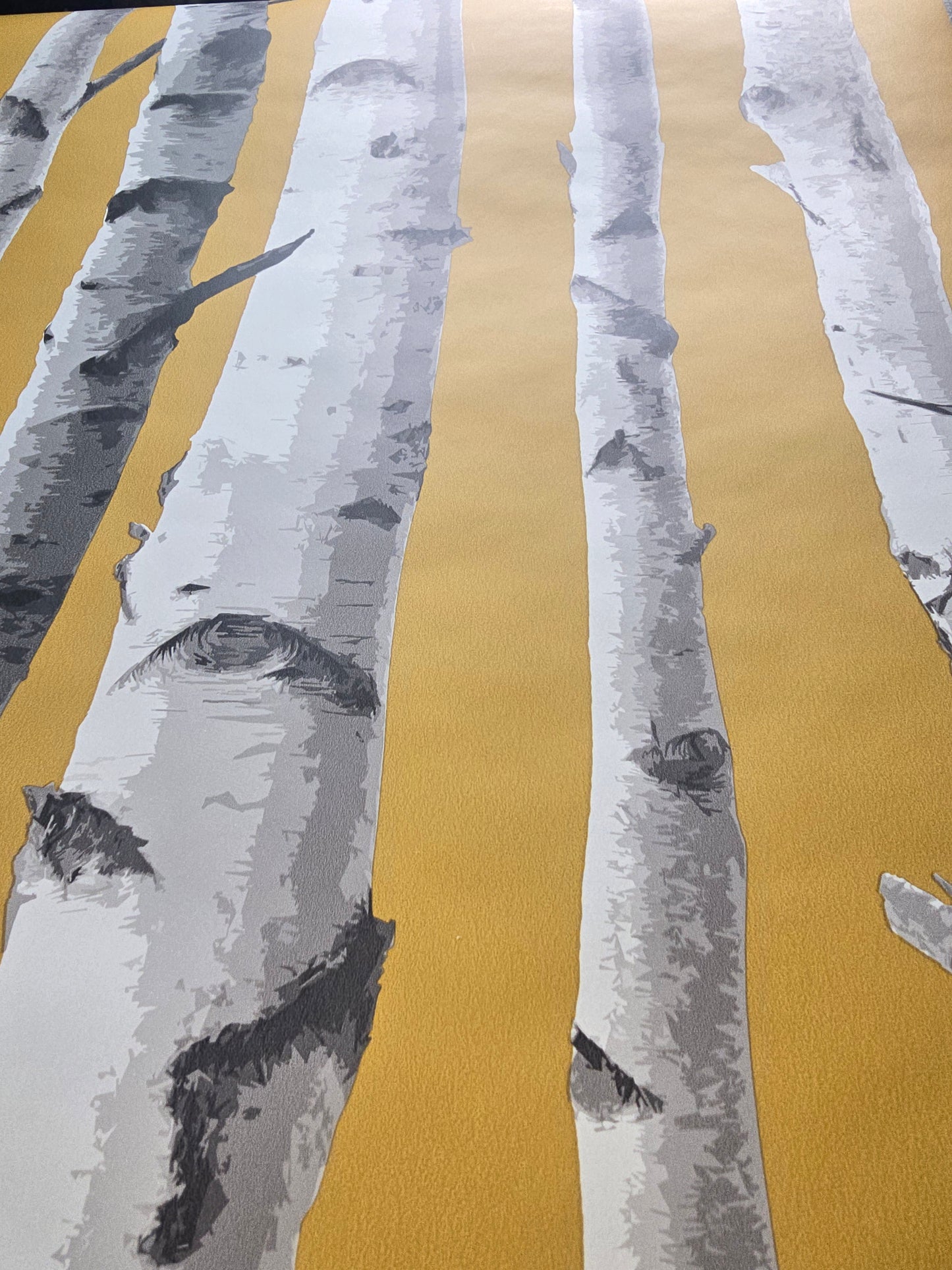 Birch Trees Mustard & Grey Forest Feature Wallpaper β FD43290