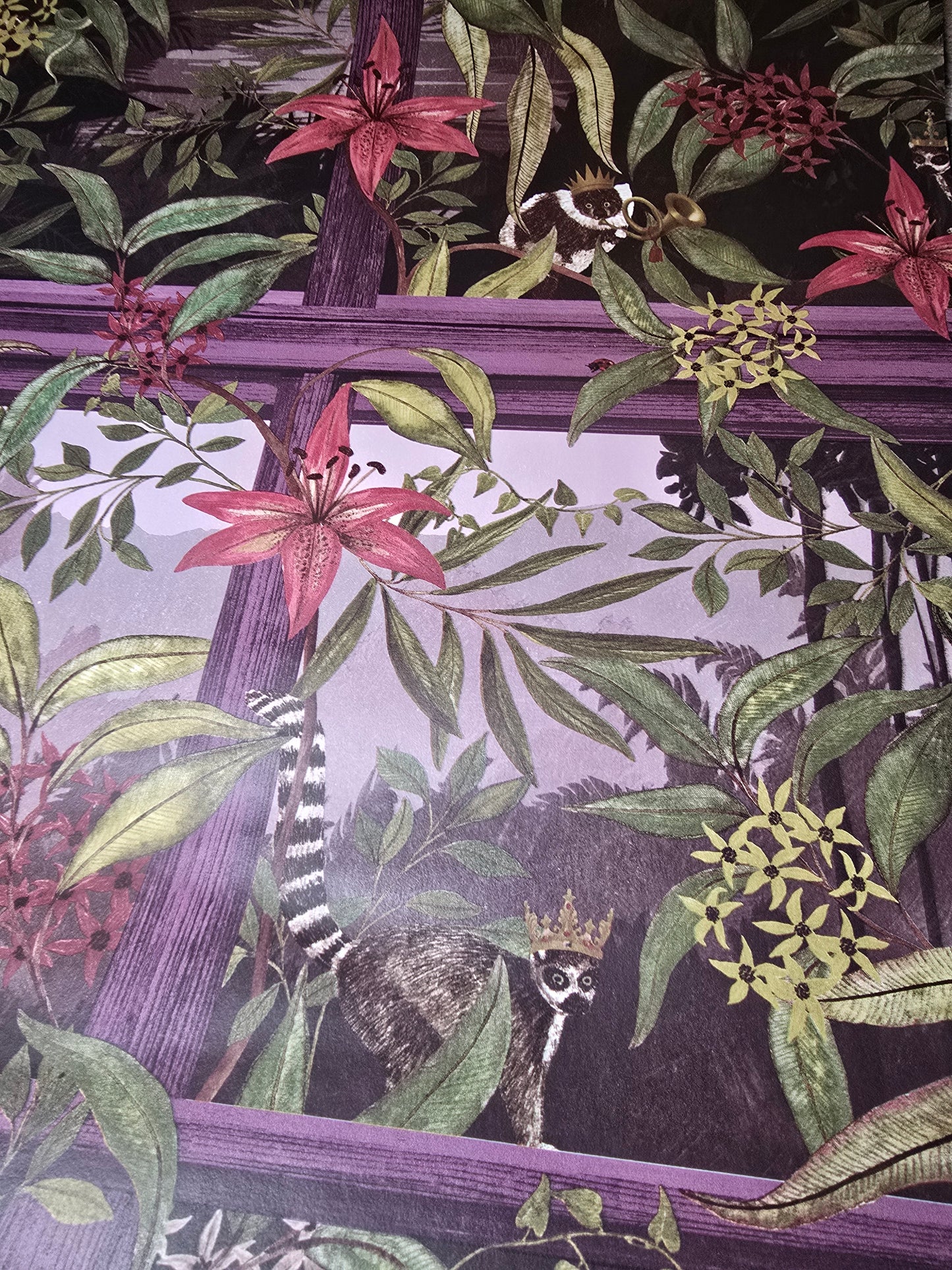 Comoro Plum Jungle Lemur Feature Wallpaper (91393)
