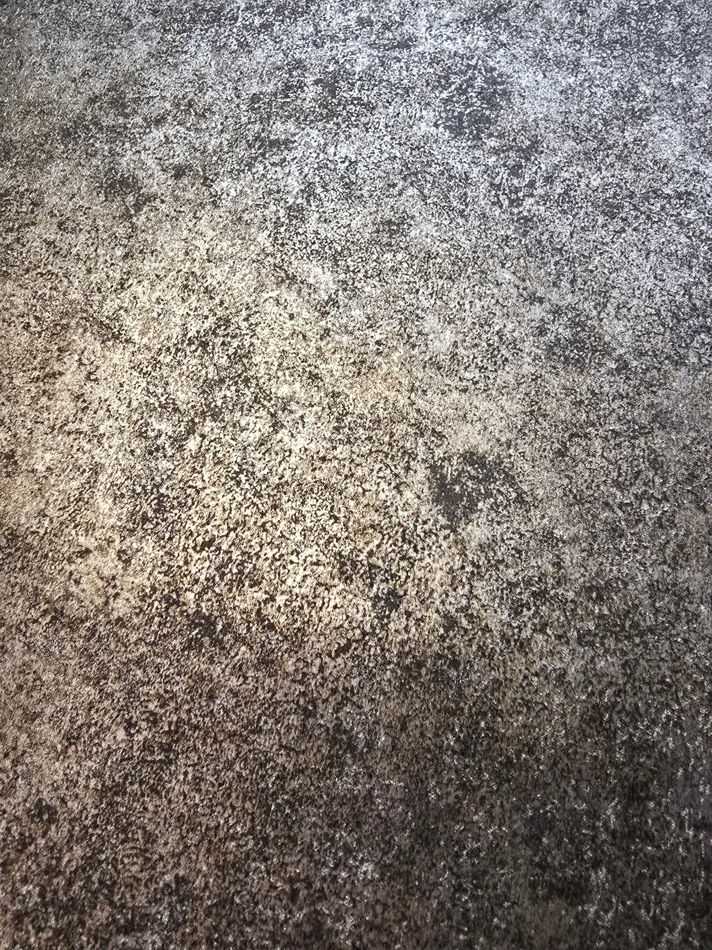 Charcoal & pale gold Concrete Effect Wallpaper Industrial Metallic Feature Wall (FD25356)