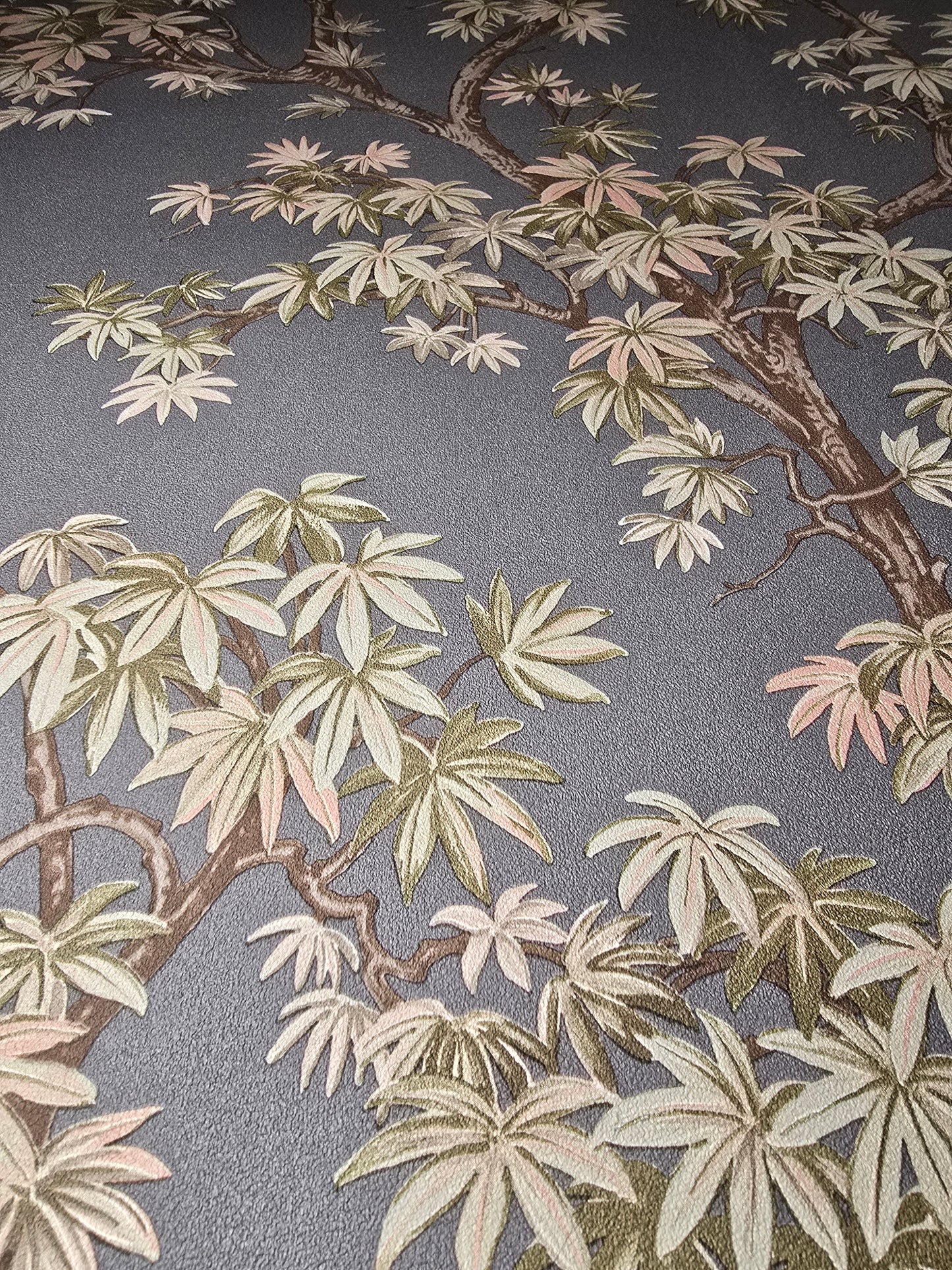 Acer Tree Charcoal Wallpaper – 196801