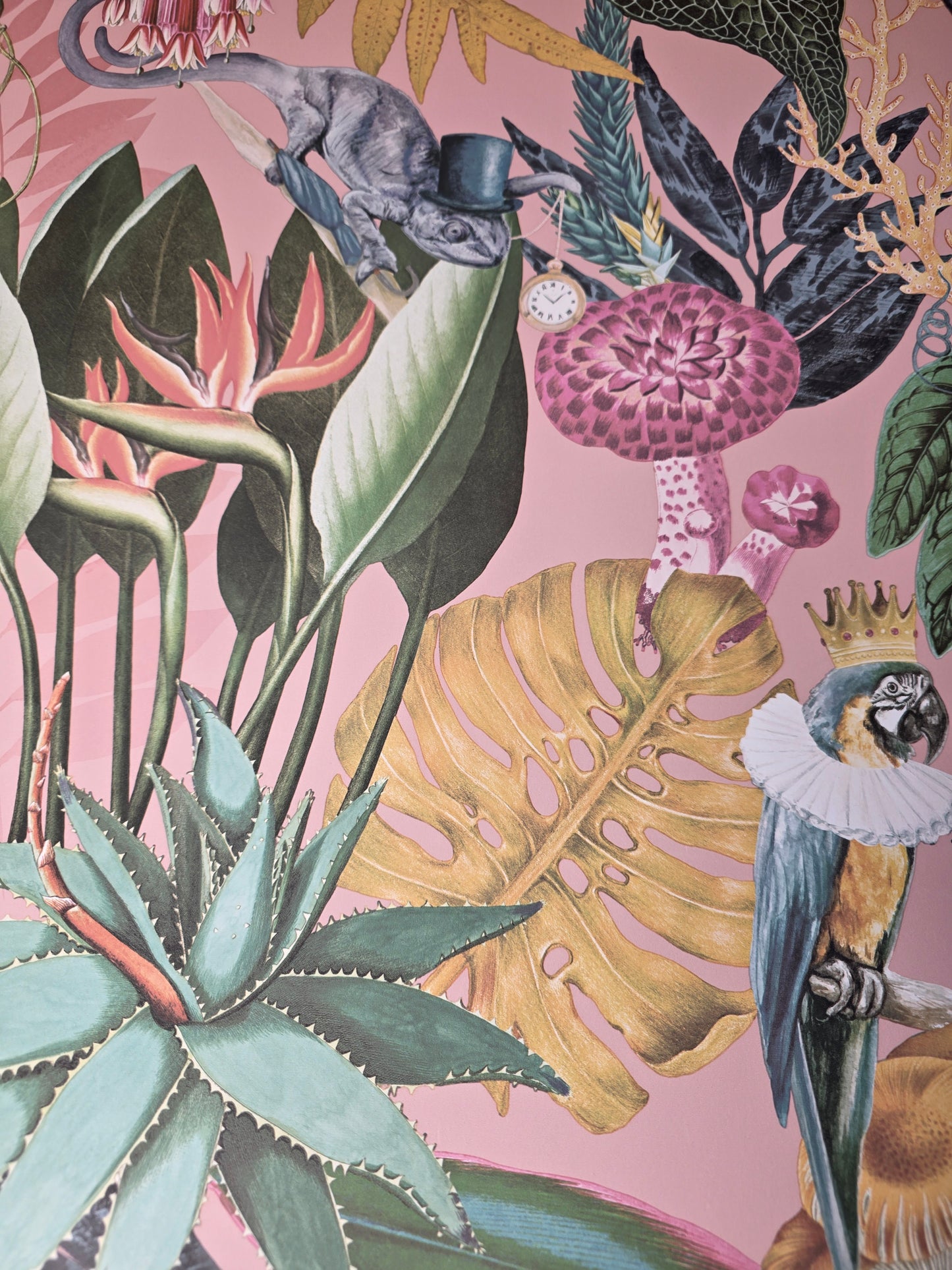 Statement Wonderland Blush Tropical Animals Botanical Feature Wallpaper Pink Jungle (13400)