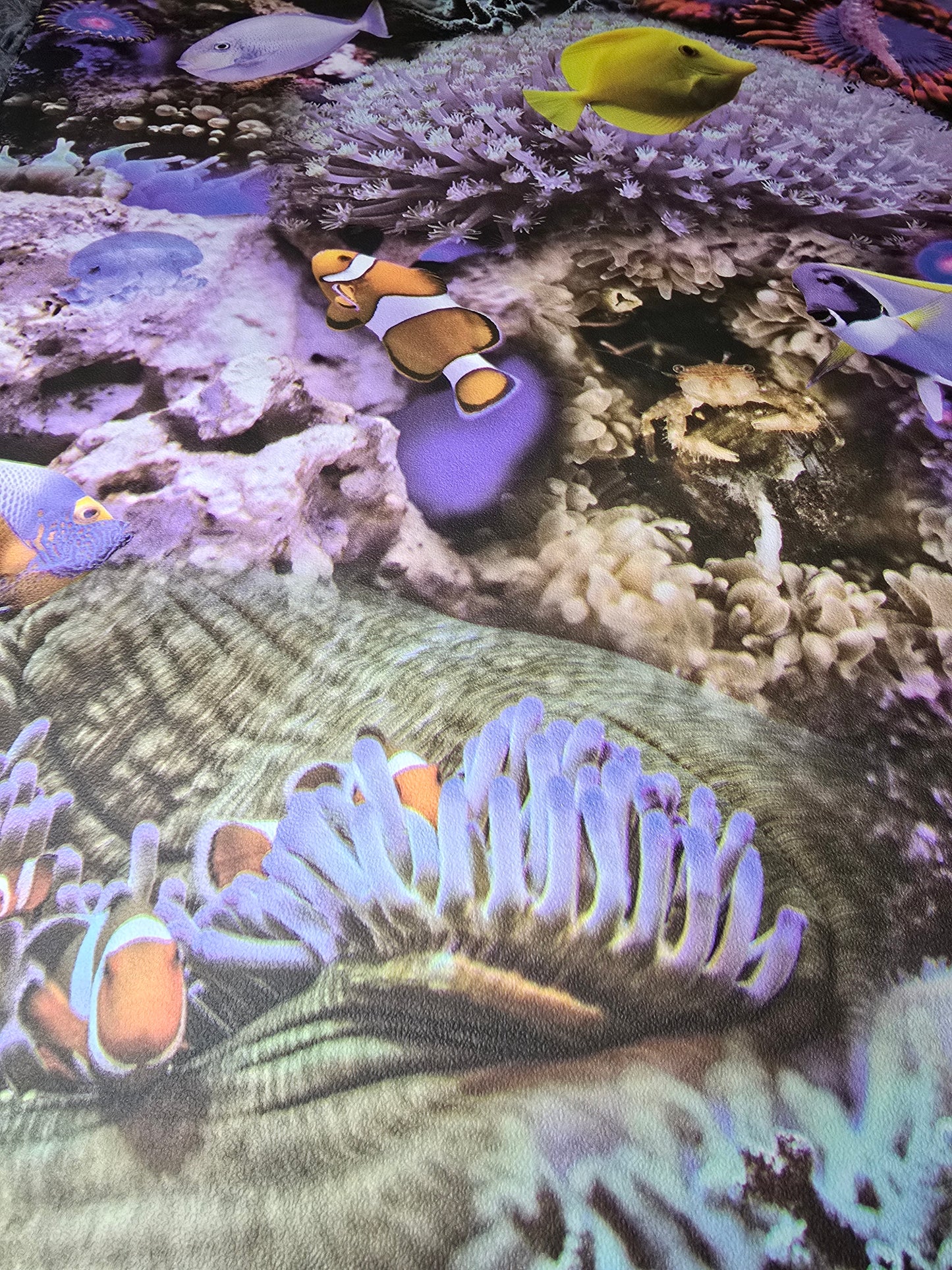 Underwater Coral Reef Fish Wallpaper – Colourful Ocean Design (GV24270)