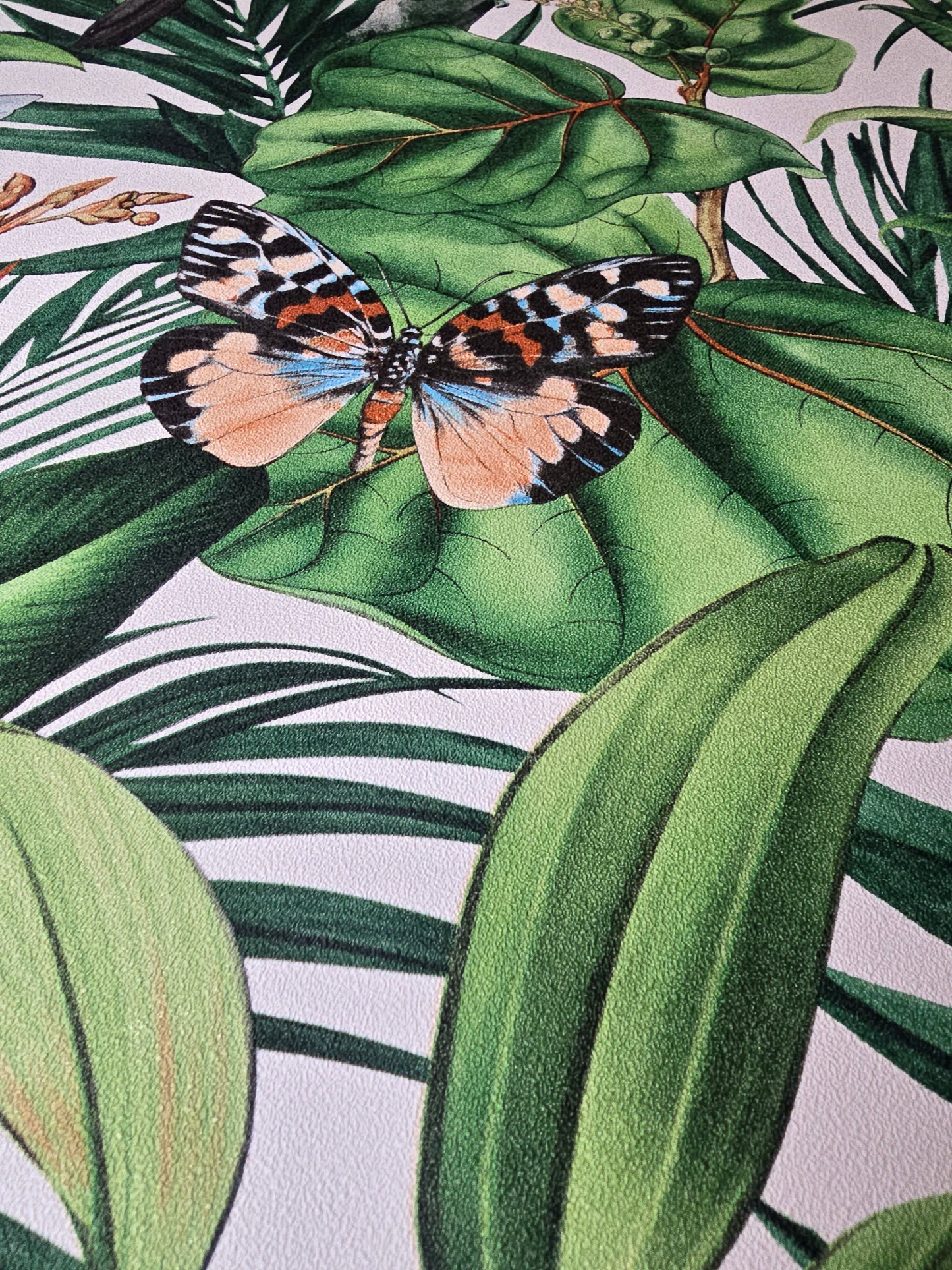 Paradisio 2 Tropical Toucan & Butterfly Wallpaper (10121-07)