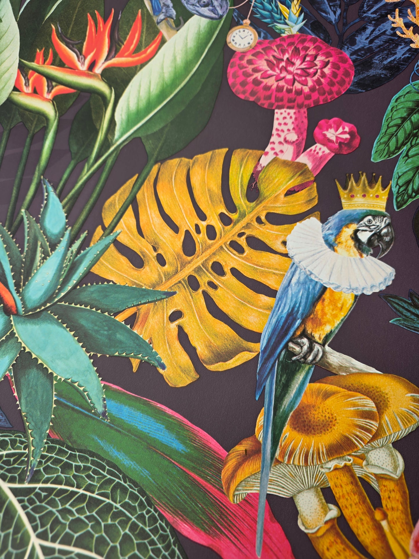 Wonderland Tropical Animal Wallpaper – Exotic Jungle Birds & Botanical Feature Wall (91192)