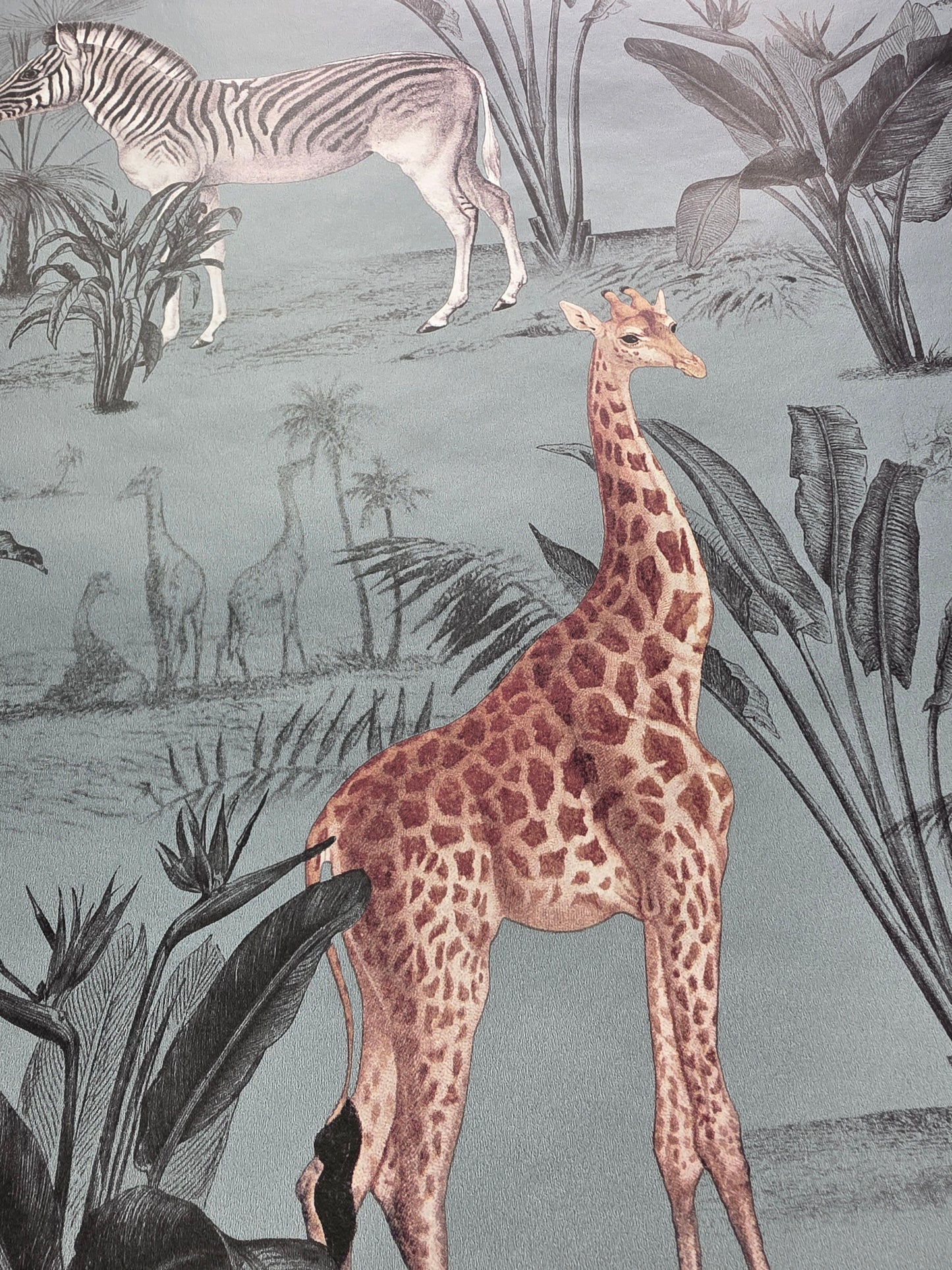 Vintage Zoo Animal Wallpaper – Safari Jungle Teal Feature Wall (N10502 NW)