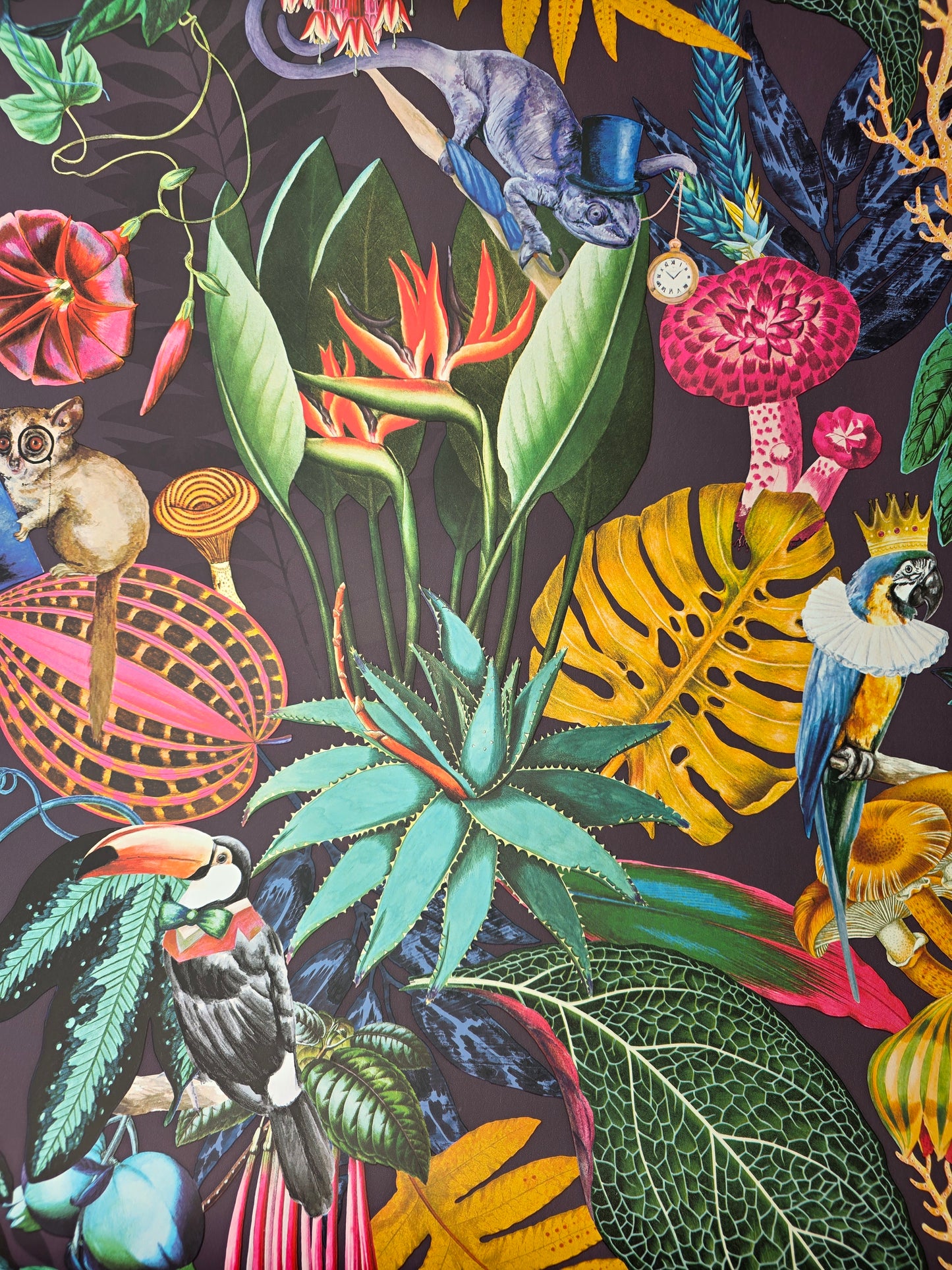 Wonderland Tropical Animal Wallpaper – Exotic Jungle Birds & Botanical Feature Wall (91192)