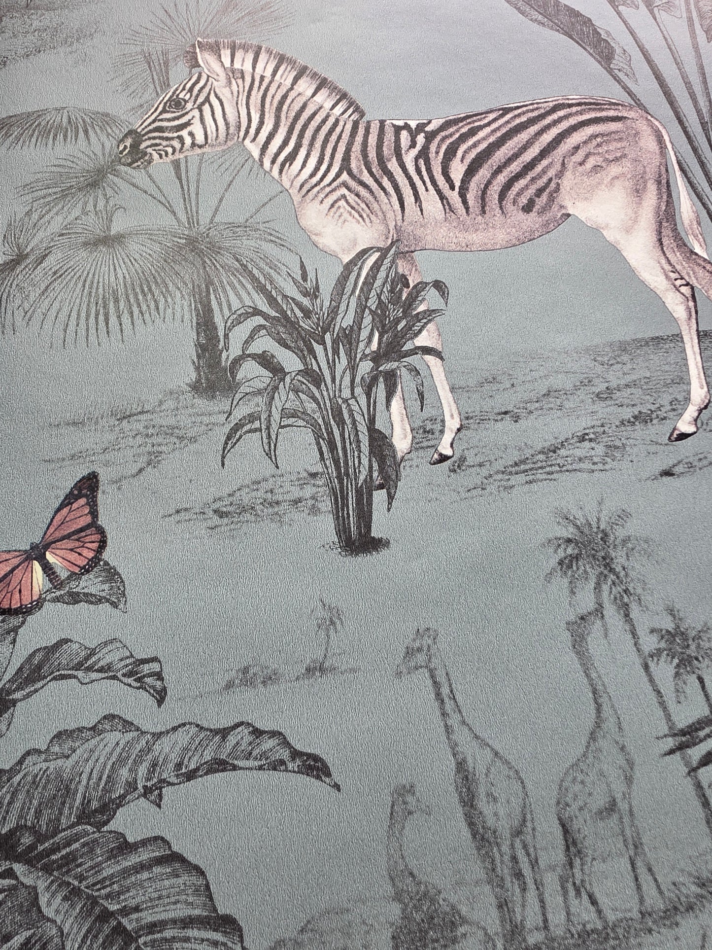 Vintage Zoo Animal Wallpaper – Safari Jungle Teal Feature Wall (N10502 NW)