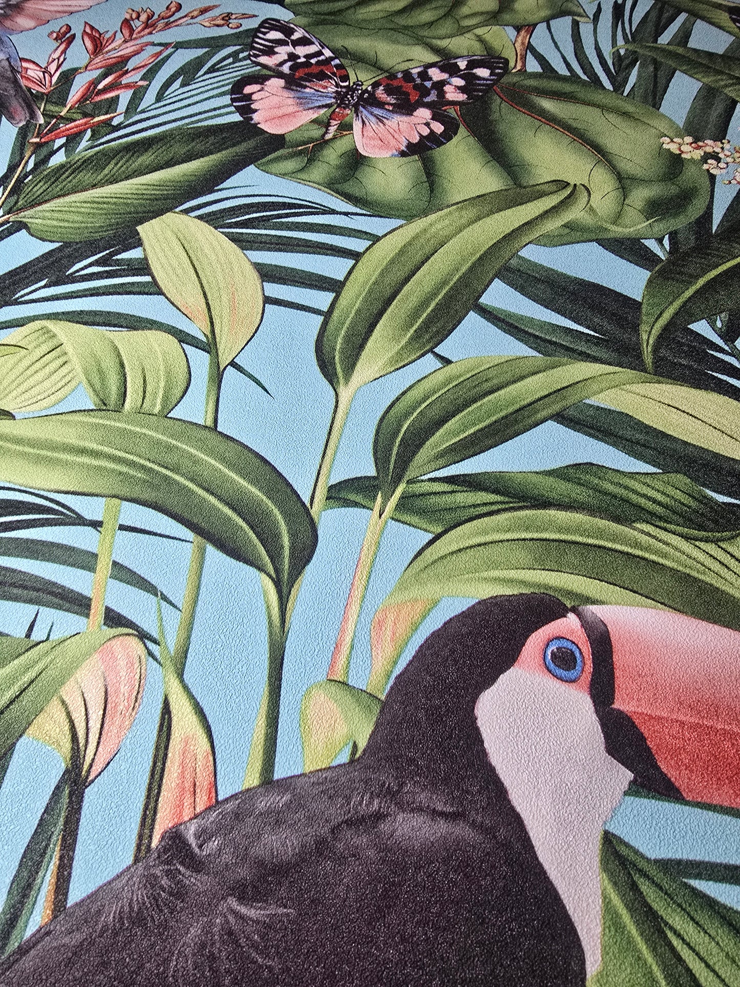 Paradisio 2 Tropical Blue Toucan & Butterfly Wallpaper (10121-18)