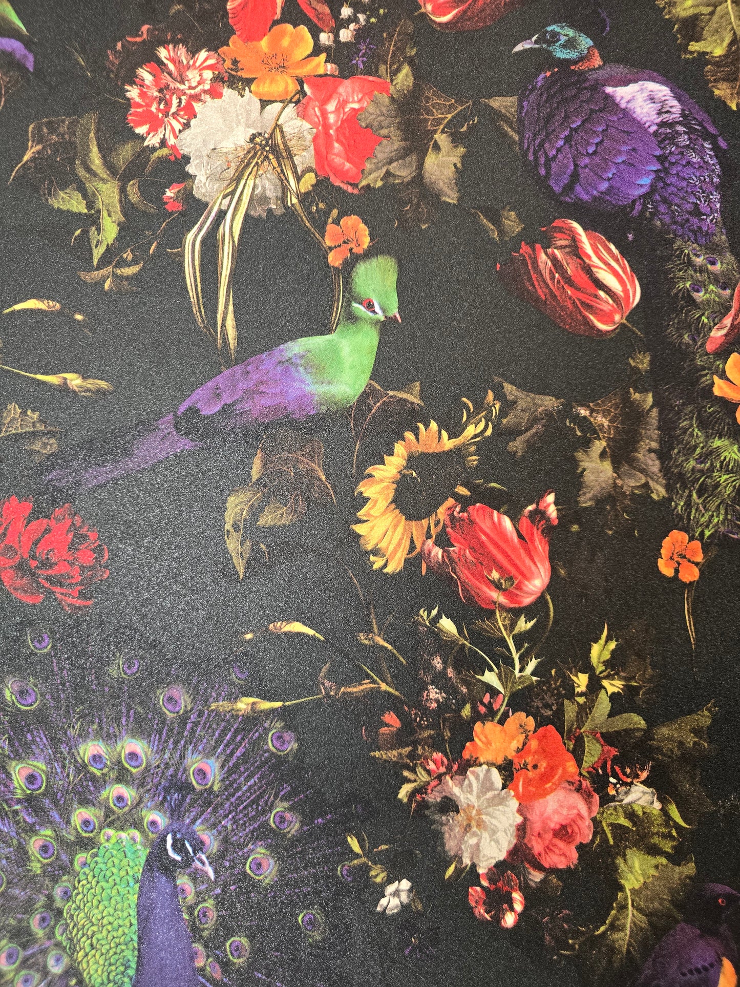 Dark Floral & Peacock Wallpaper  (6371-15)