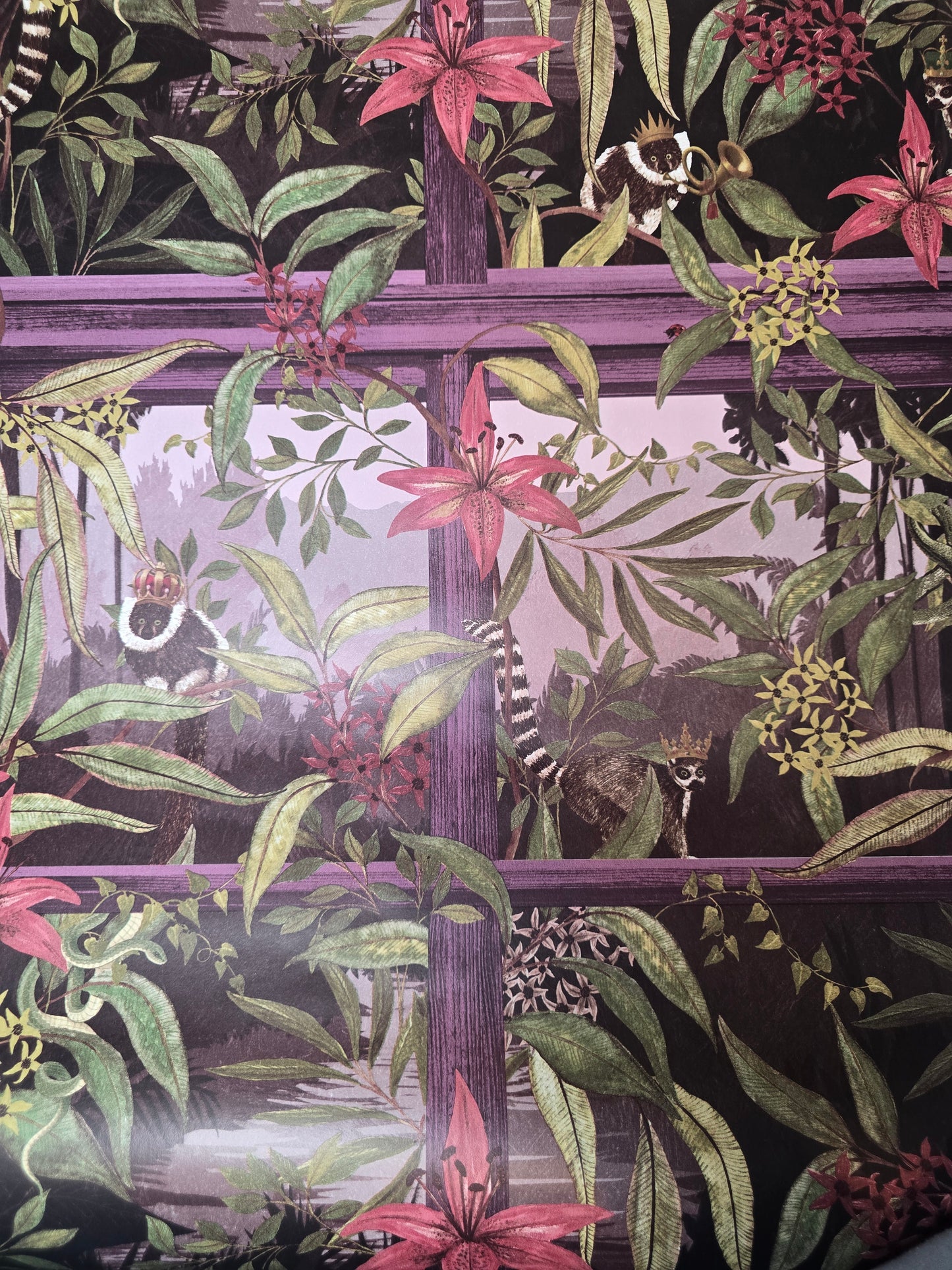 Comoro Plum Jungle Lemur Feature Wallpaper (91393)