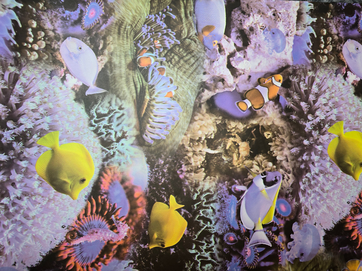 Underwater Coral Reef Fish Wallpaper – Colourful Ocean Design (GV24270)