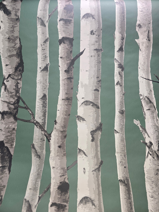Birch Trees Green & Grey Wallpaper (Pattern FD43292