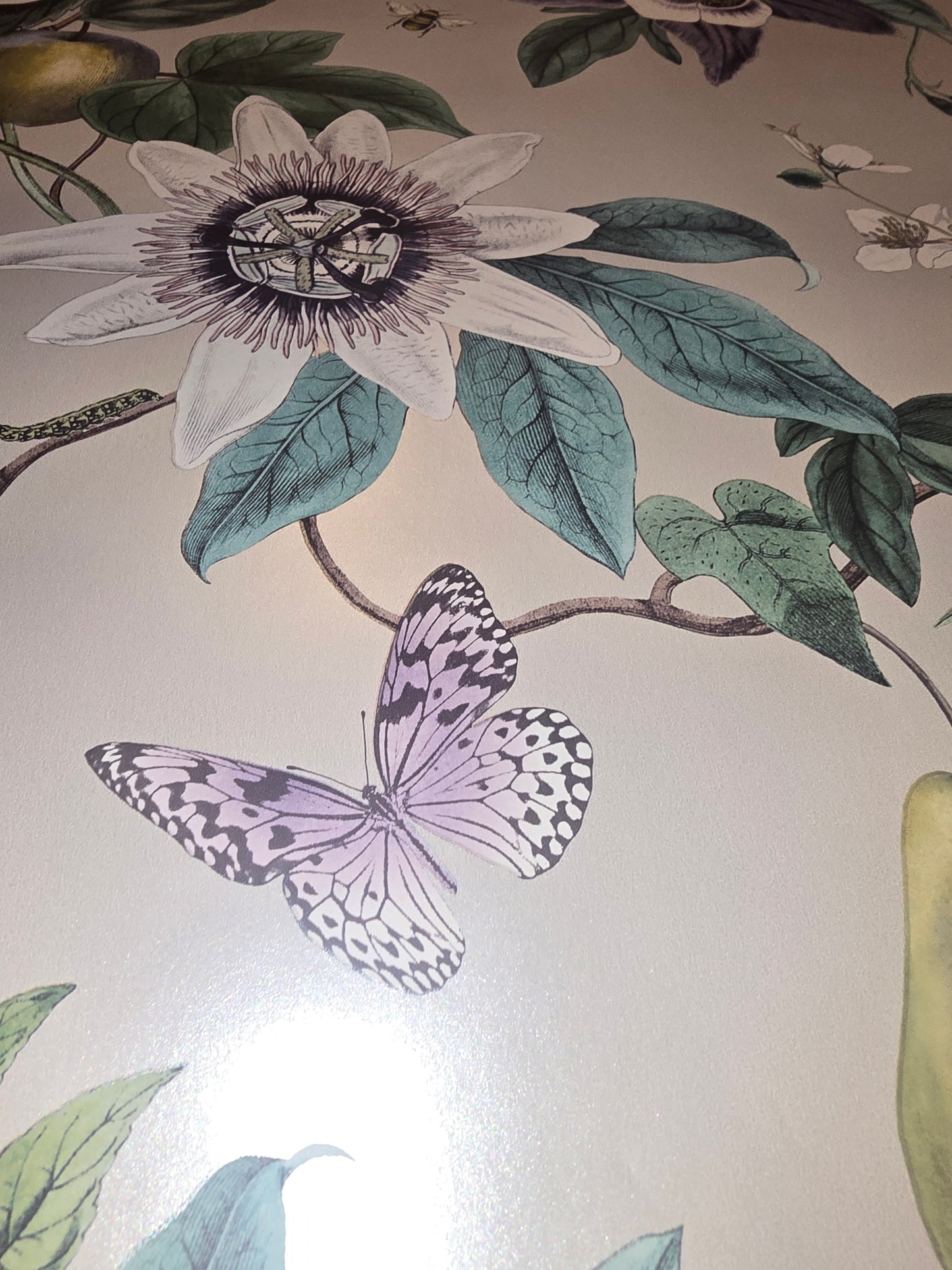 Sierra Botanical Floral Wallpaper – FD43059 ✨