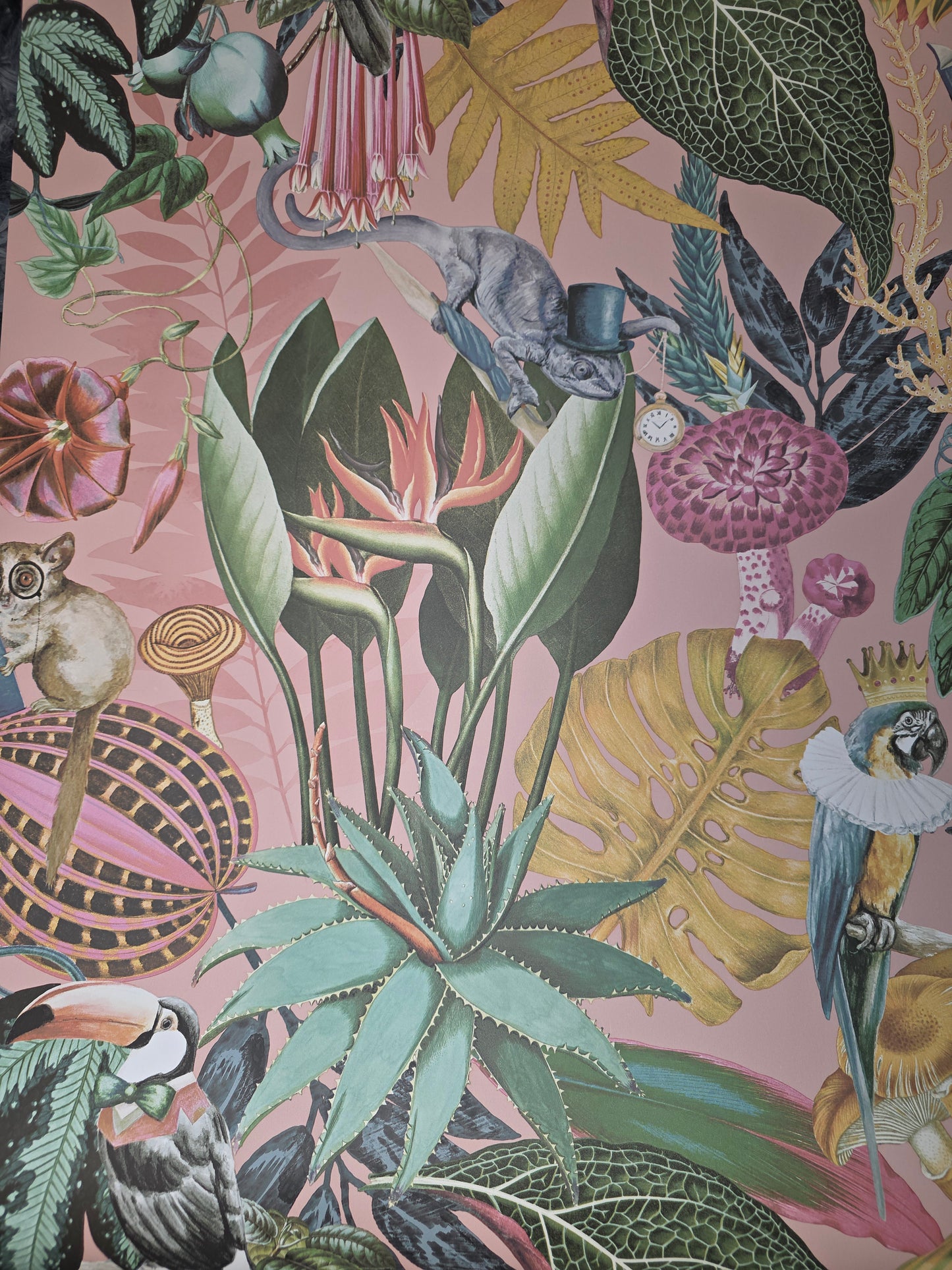 Statement Wonderland Blush Tropical Animals Botanical Feature Wallpaper Pink Jungle (13400)