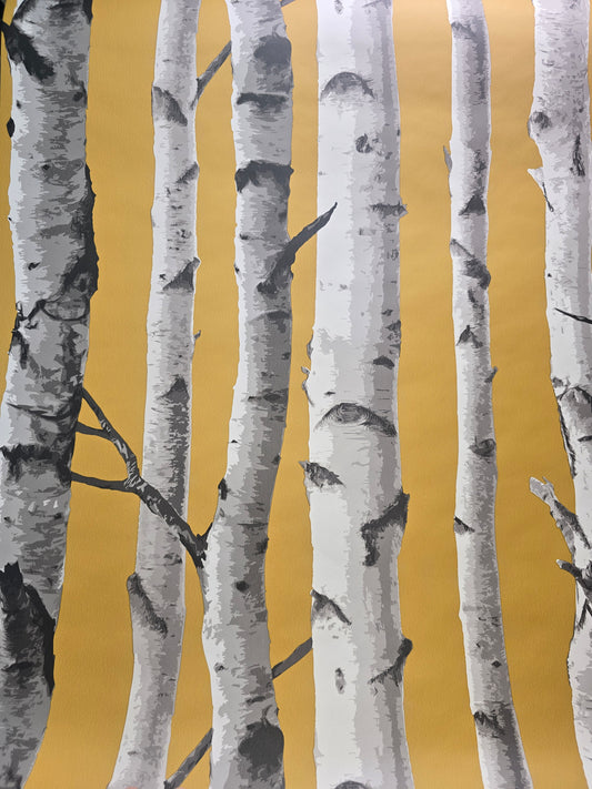 Birch Trees Mustard & Grey Forest Feature Wallpaper – FD43290