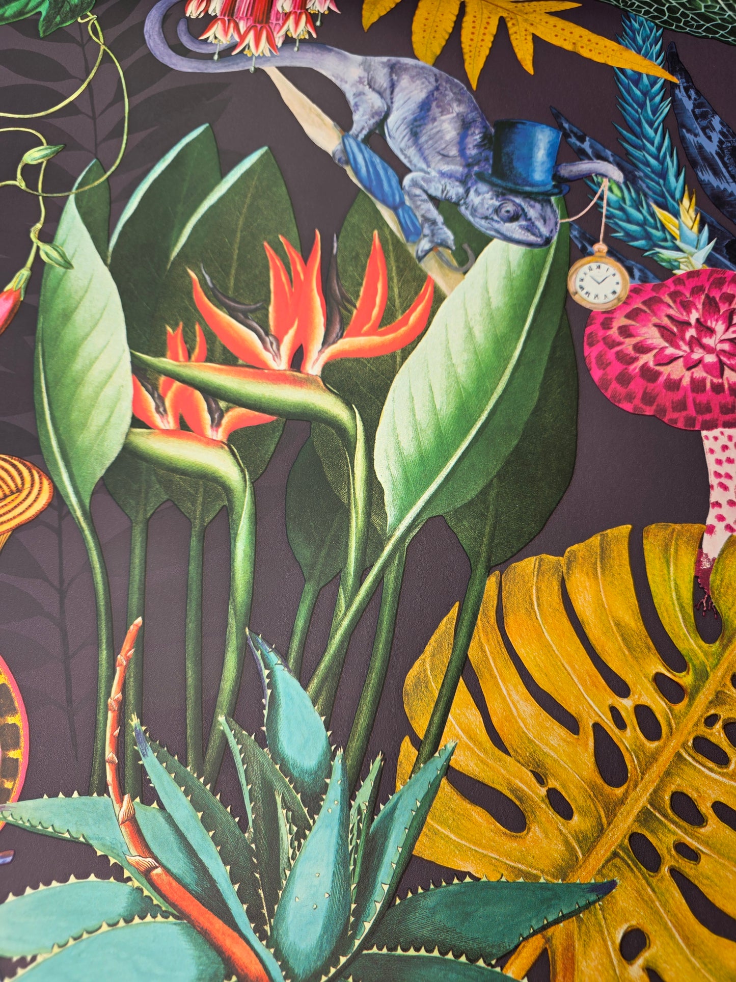 Wonderland Tropical Animal Wallpaper – Exotic Jungle Birds & Botanical Feature Wall (91192)