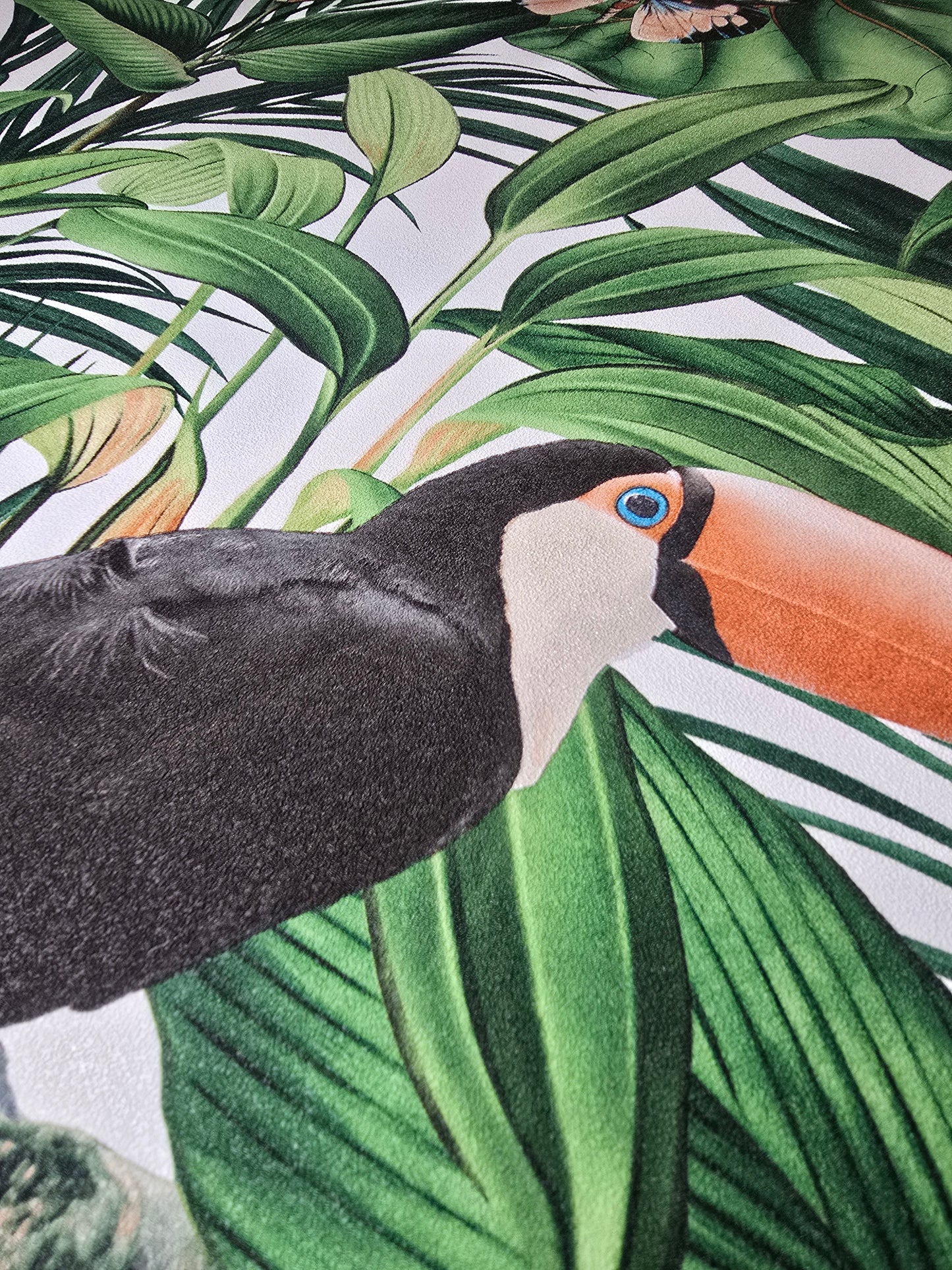 Paradisio 2 Tropical Toucan & Butterfly Wallpaper (10121-07)