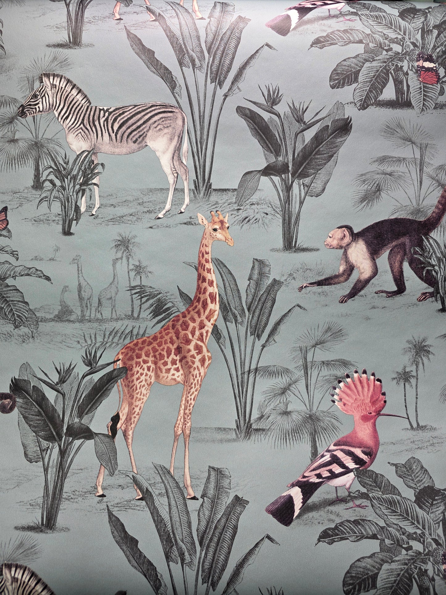 Vintage Zoo Animal Wallpaper – Safari Jungle Teal Feature Wall (N10502 NW)