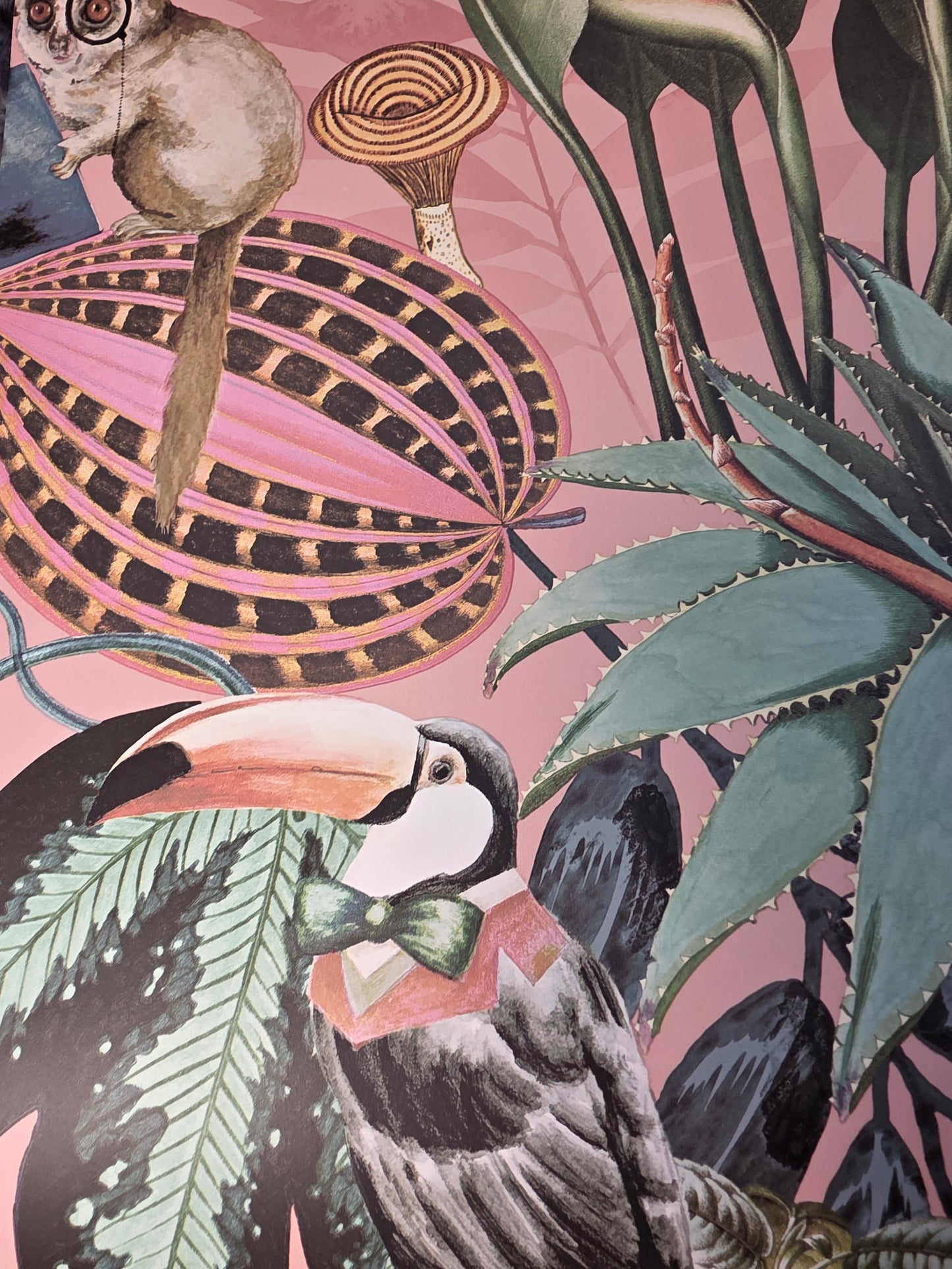 Statement Wonderland Blush Tropical Animals Botanical Feature Wallpaper Pink Jungle (13400)