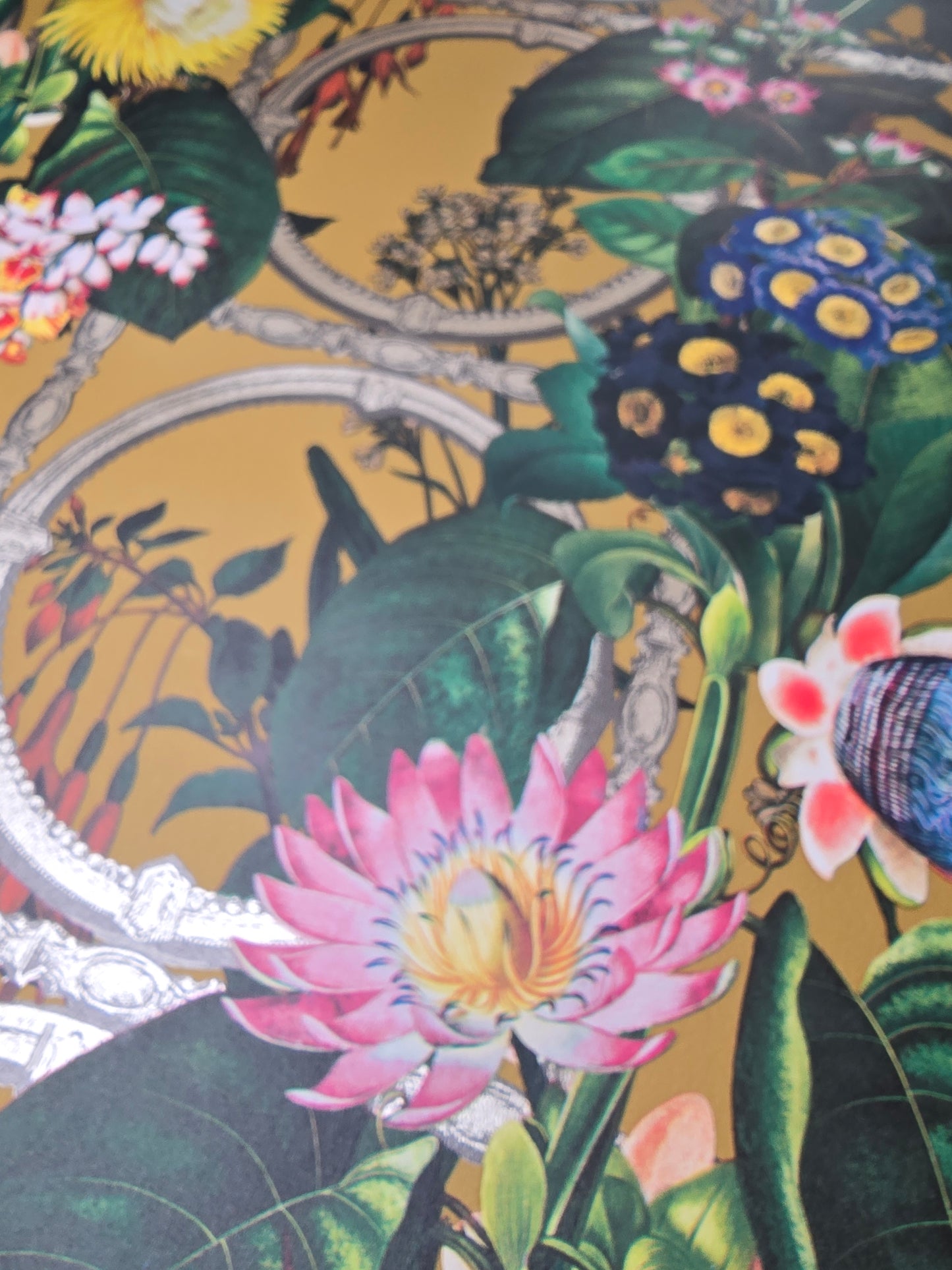 Alata Ochre Botanical Floral Feature Wallpaper (91433)