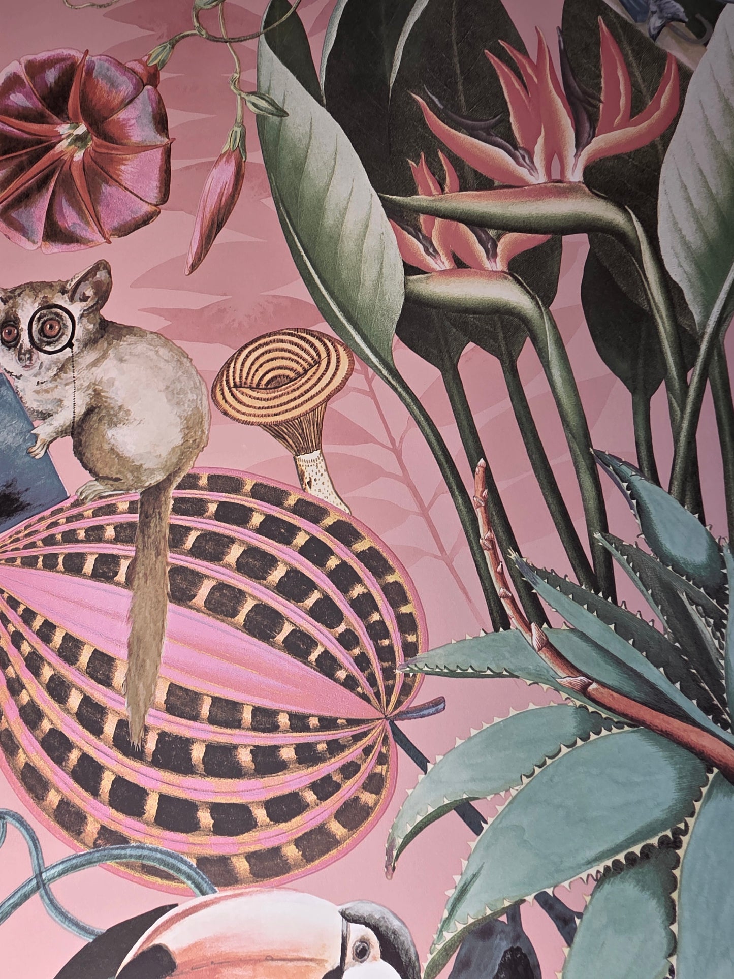 Statement Wonderland Blush Tropical Animals Botanical Feature Wallpaper Pink Jungle (13400)