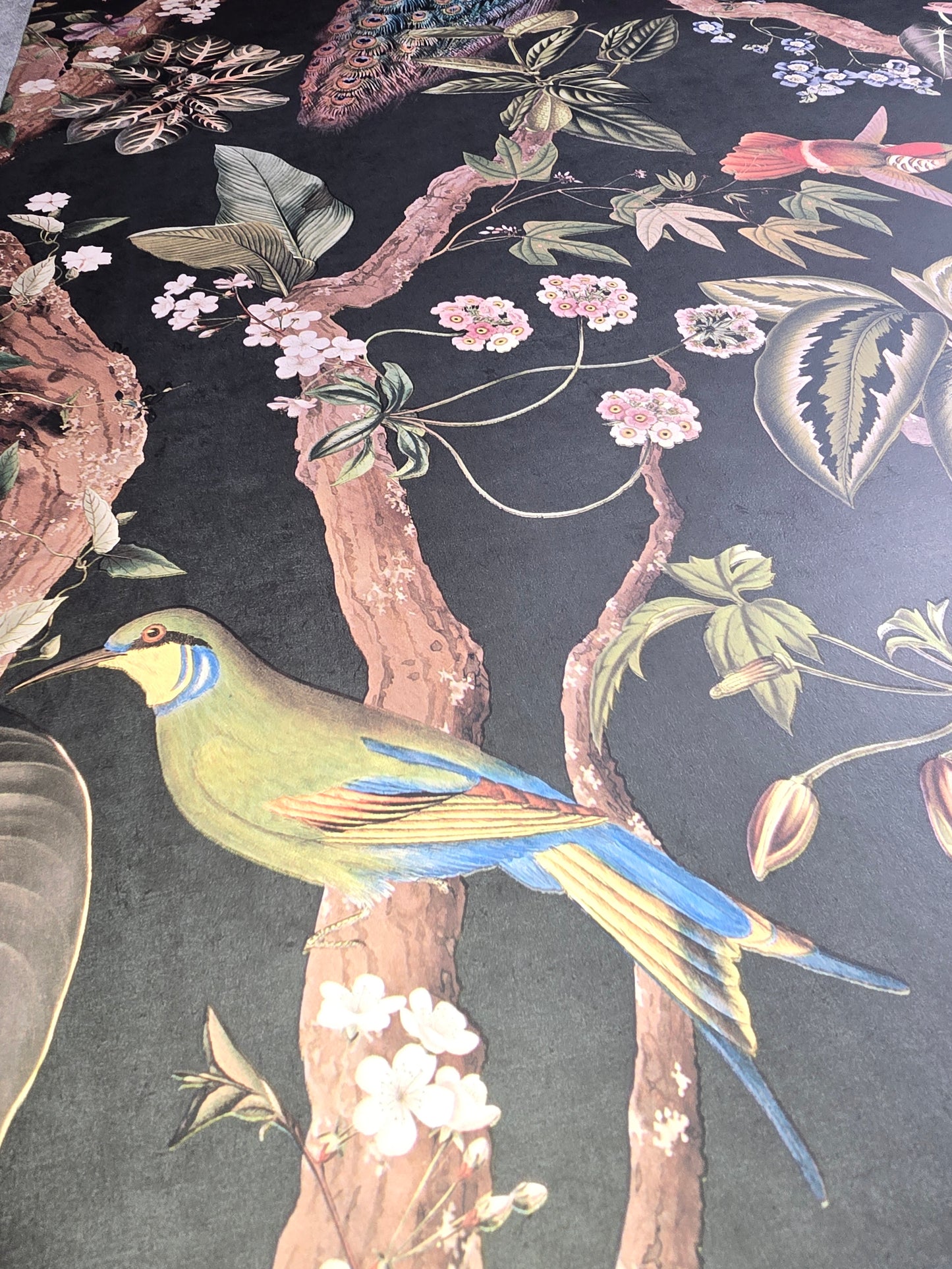 ✨ Feature Wallpaper – Peacock Woods (Charcoal) ✨