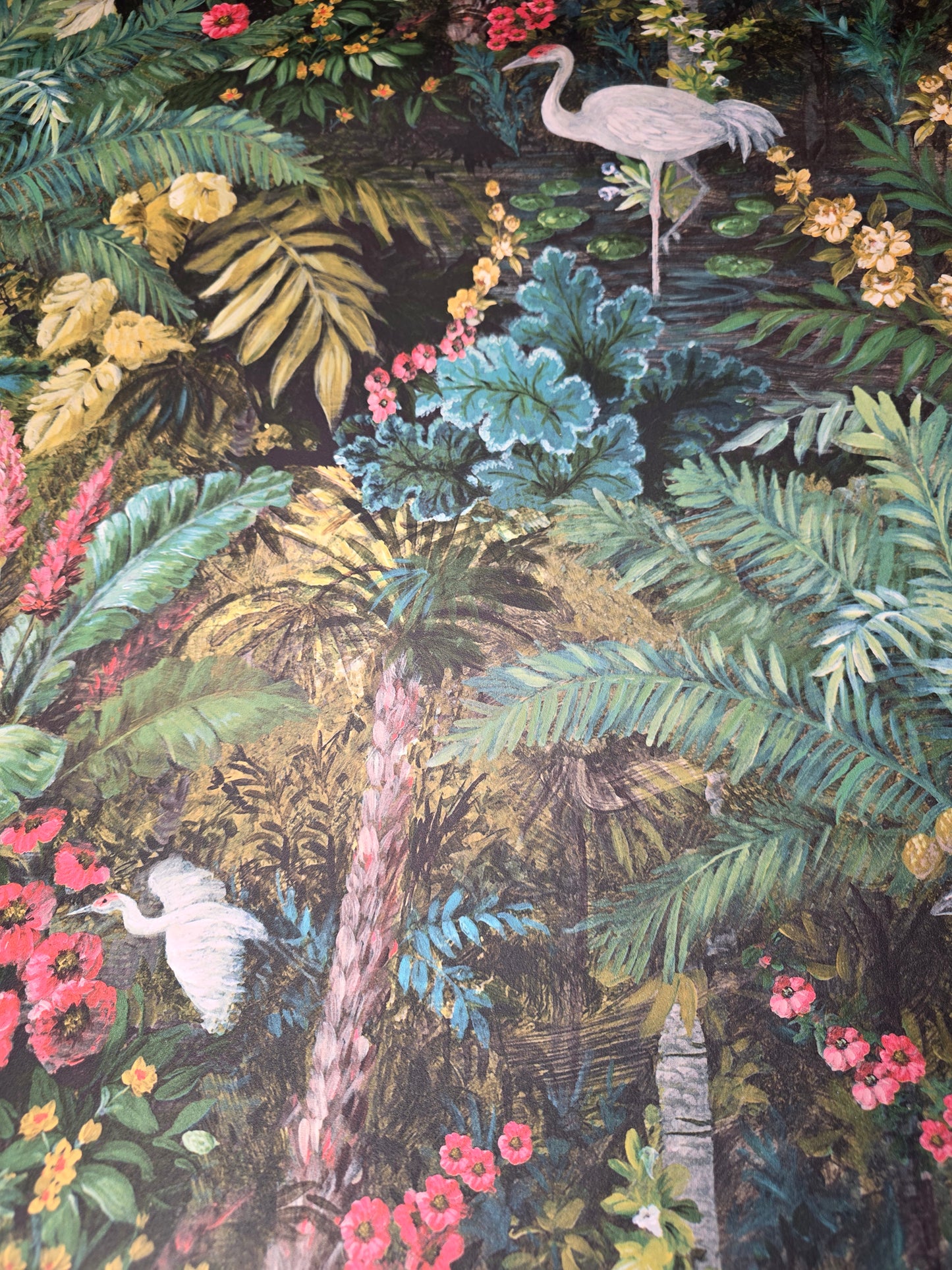 Jungle Paradise Tropical Wallpaper Black Botanical Crane Feature Wall (13181)