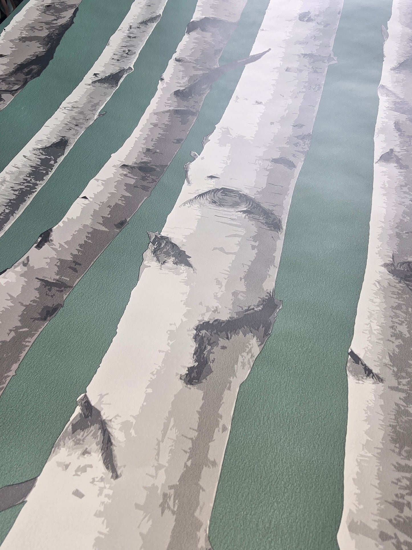 Birch Trees Green & Grey Wallpaper (Pattern FD43292