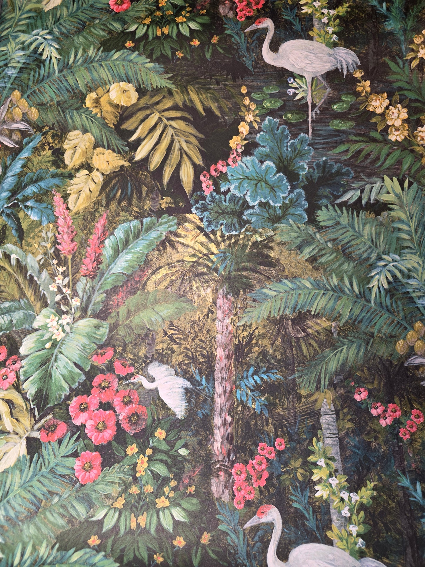 Jungle Paradise Tropical Wallpaper Black Botanical Crane Feature Wall (13181)