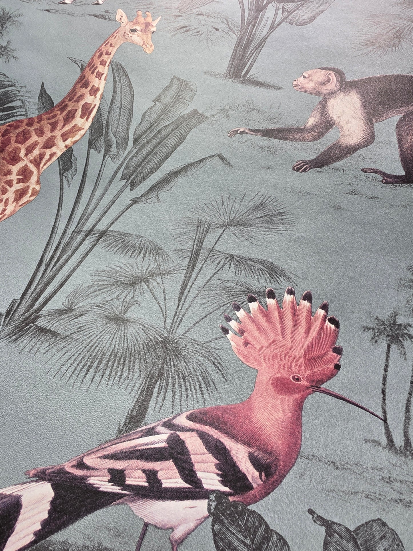 Vintage Zoo Animal Wallpaper – Safari Jungle Teal Feature Wall (N10502 NW)