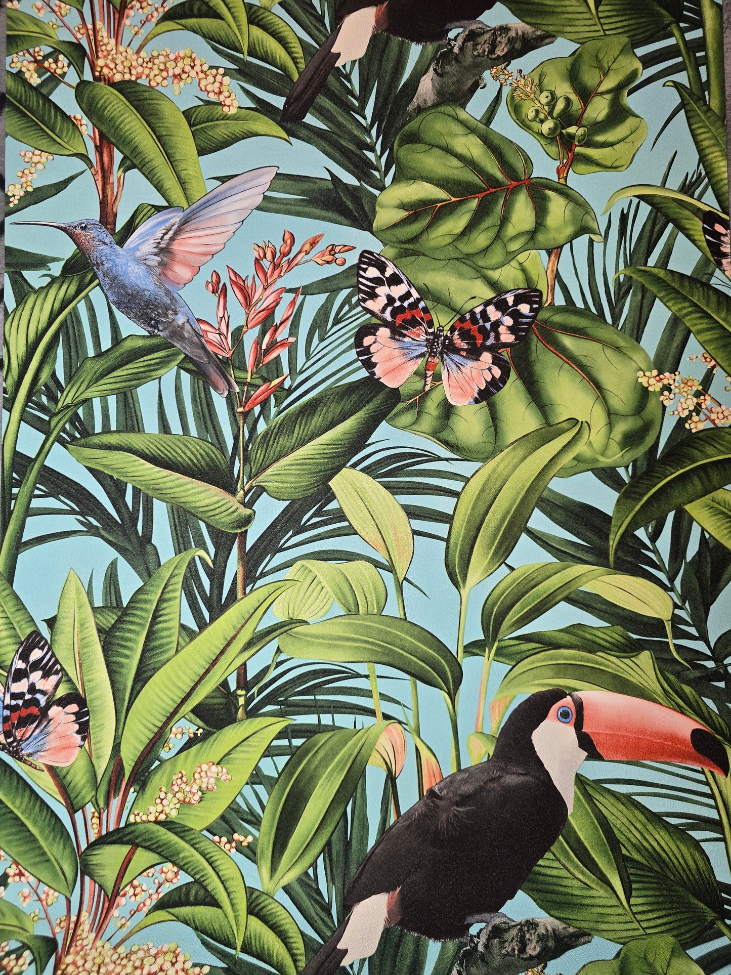 Paradisio 2 Tropical Blue Toucan & Butterfly Wallpaper (10121-18)