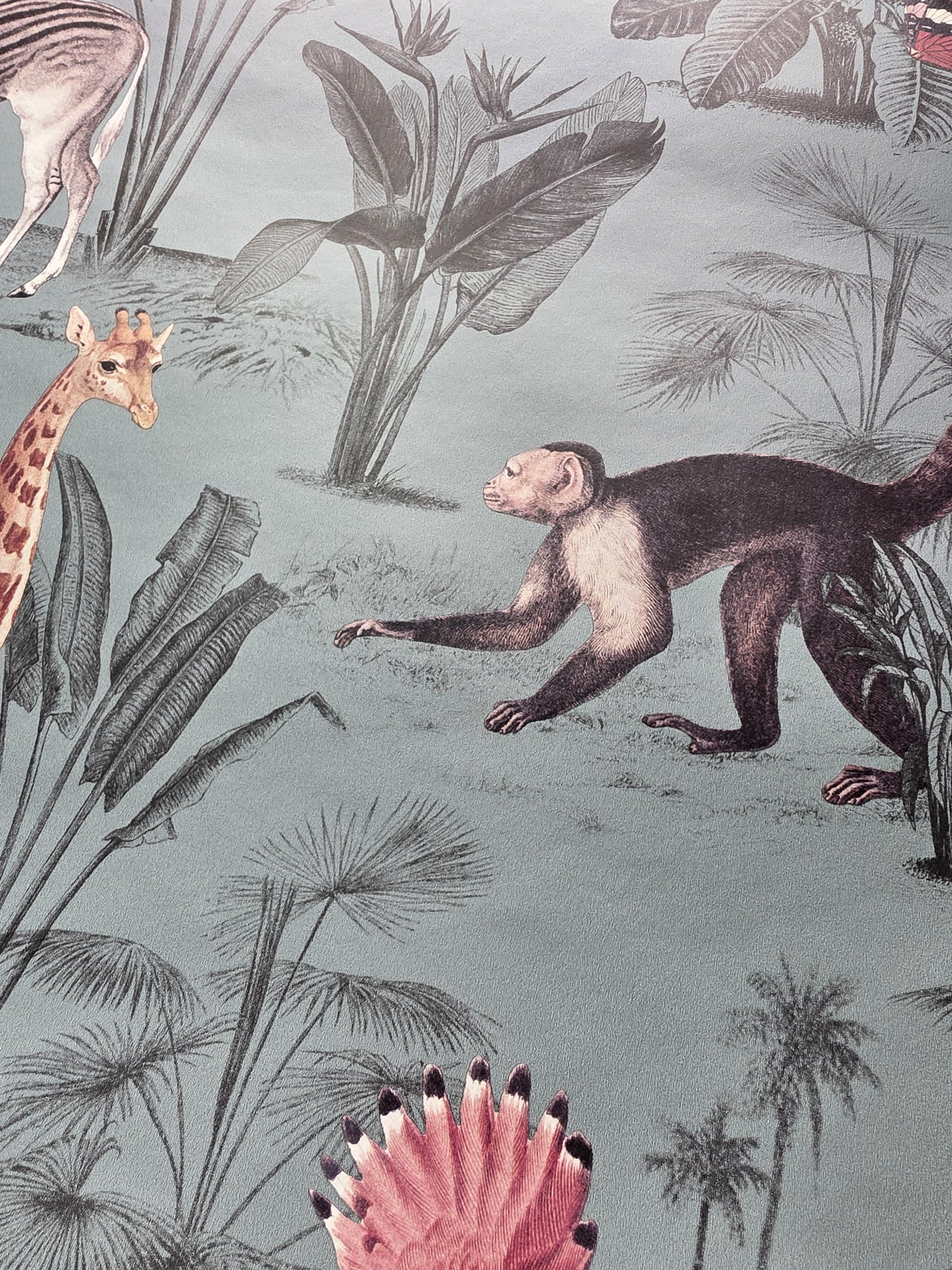 Vintage Zoo Animal Wallpaper – Safari Jungle Teal Feature Wall (N10502 NW)